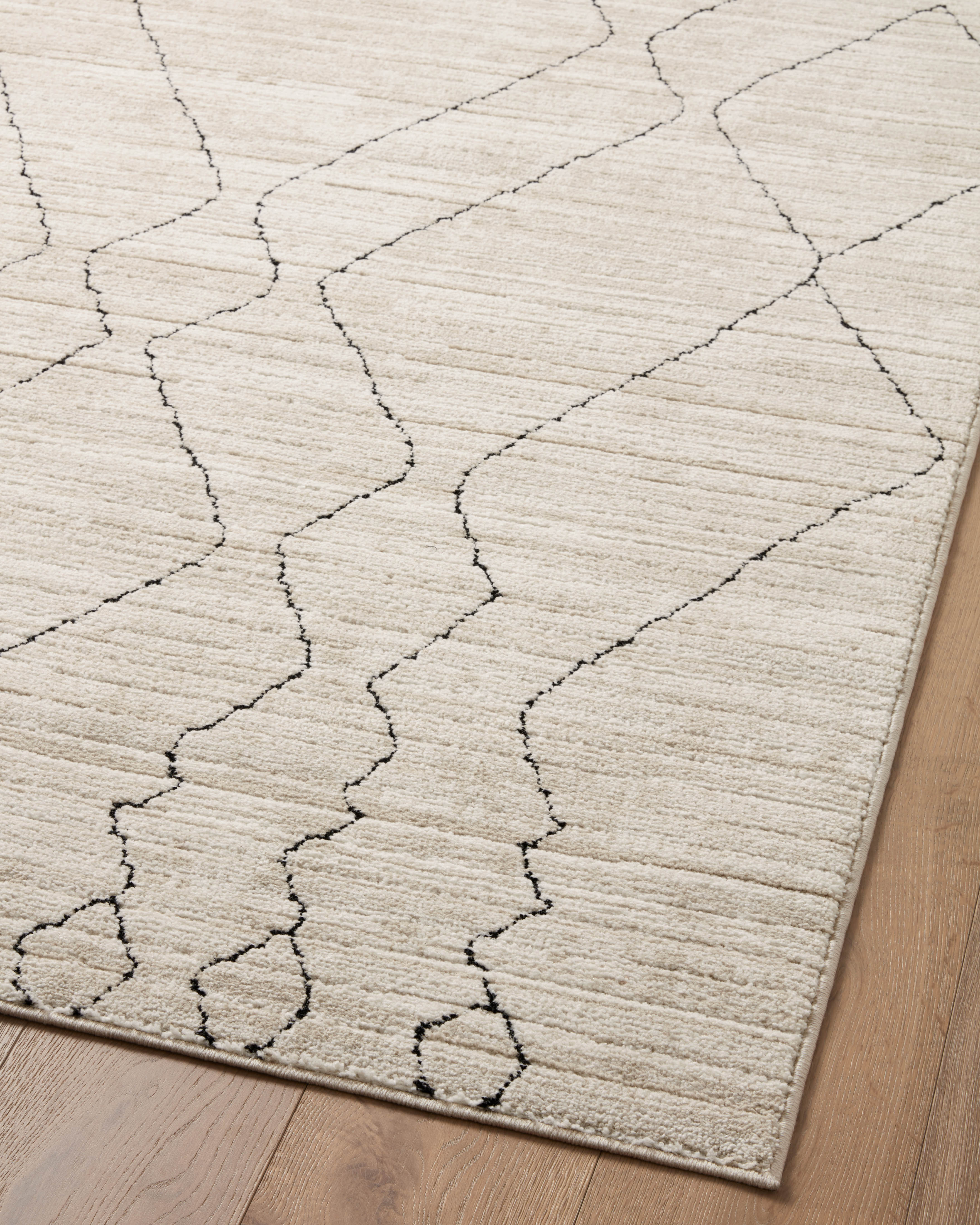 Loloi Darby DAR-03 Sand / Charcoal Area Rug