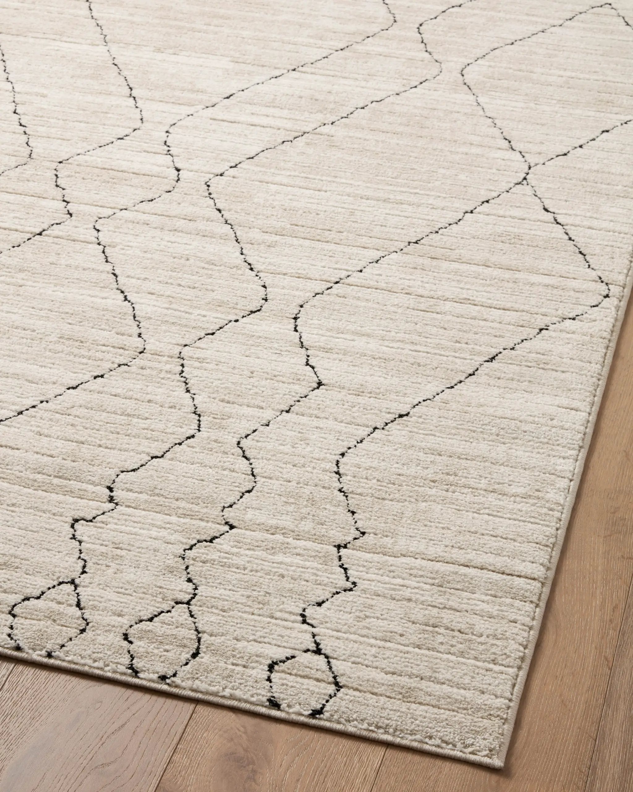 Darby DAR-03 Sand / Charcoal Area Rug by Loloi