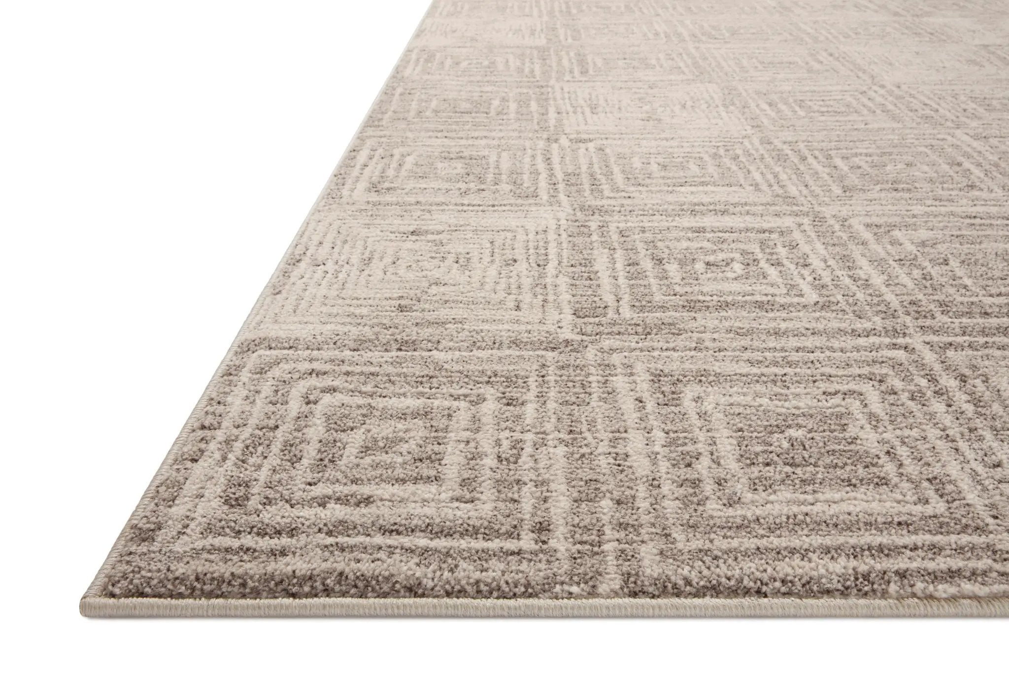 Darby DAR-05 Beige / Grey Area Rug by Loloi