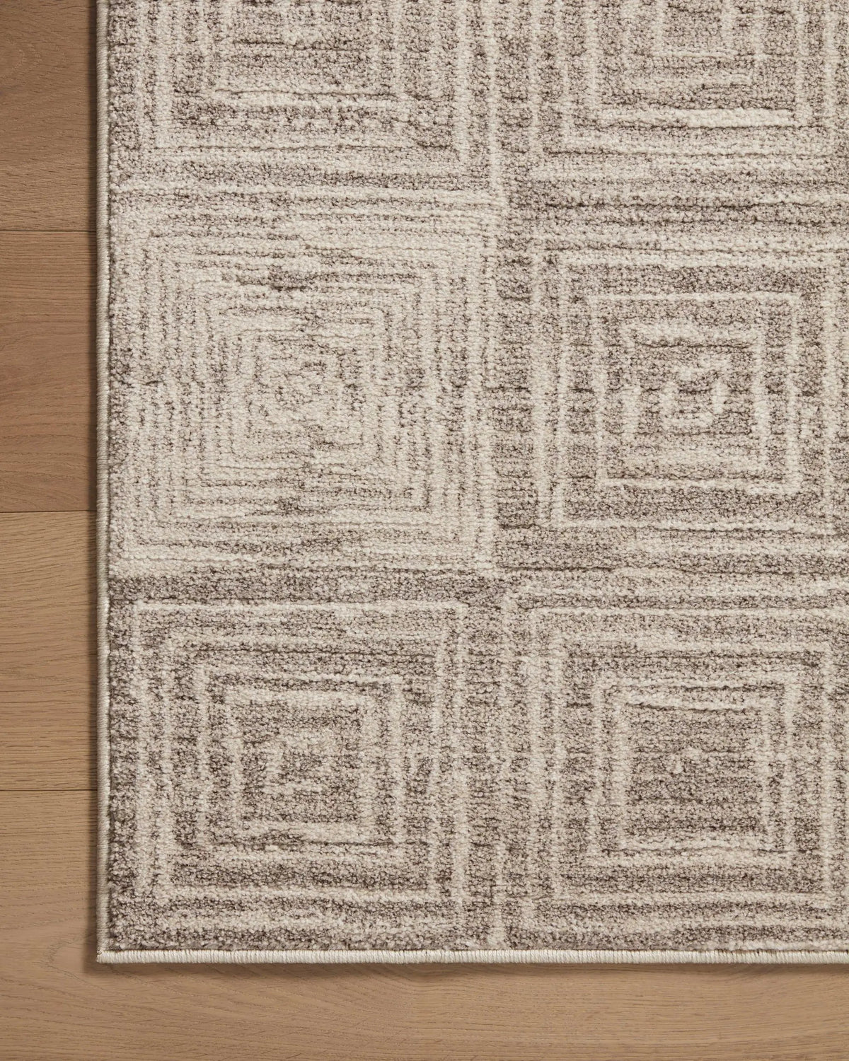 Darby DAR-05 Beige / Grey Area Rug by Loloi