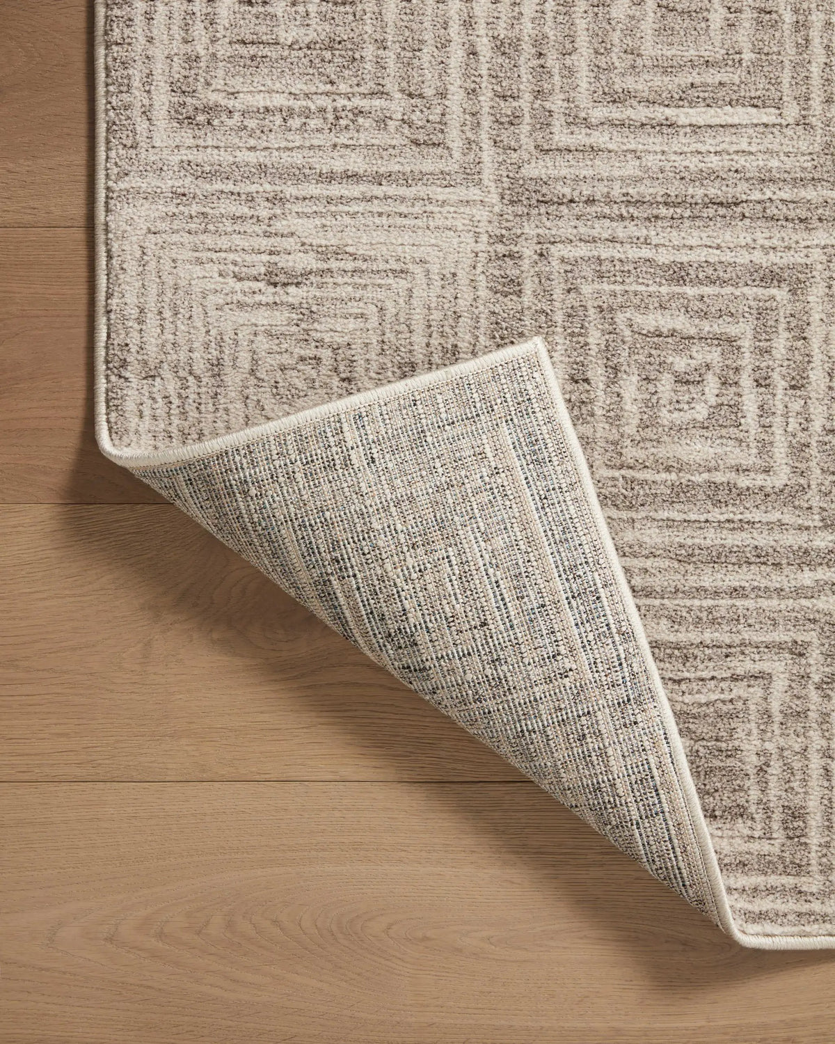 Darby DAR-05 Beige / Grey Area Rug by Loloi