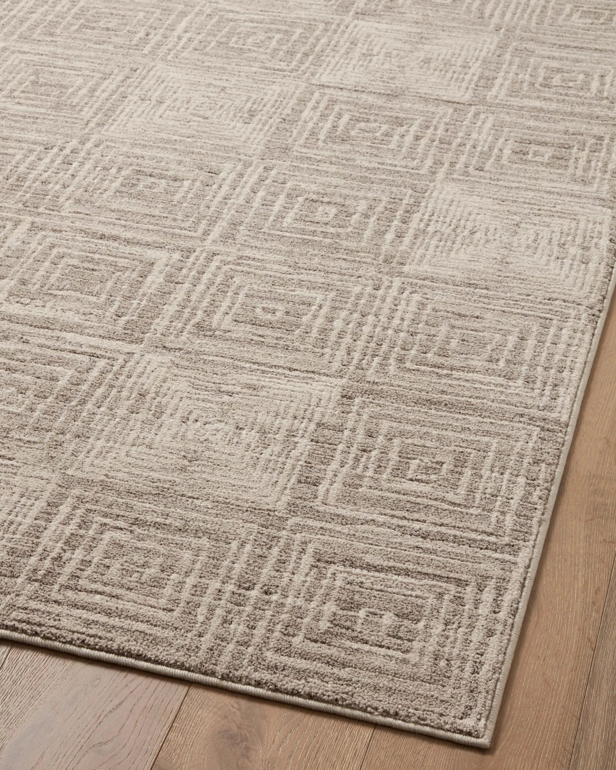 Darby DAR-05 Beige / Grey Area Rug by Loloi