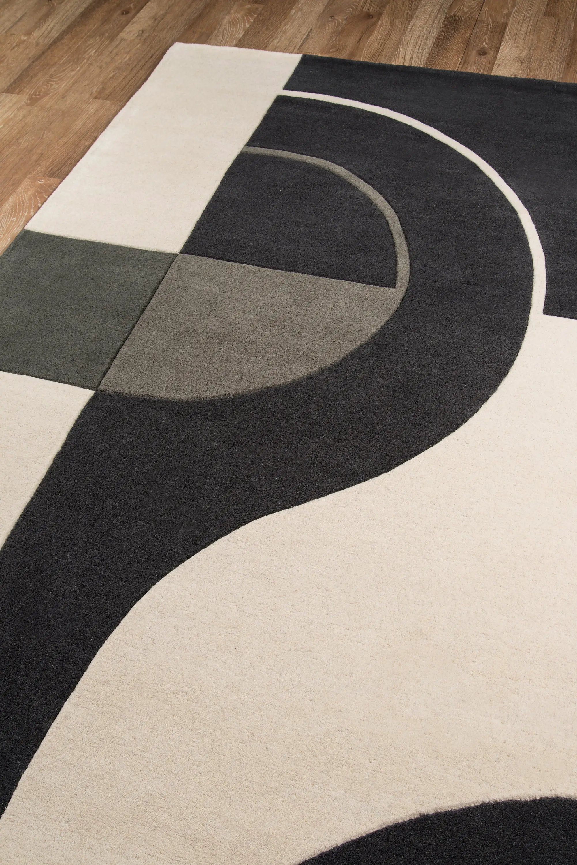 Delhi DL-22 Charcoal Area Rug by Momeni
