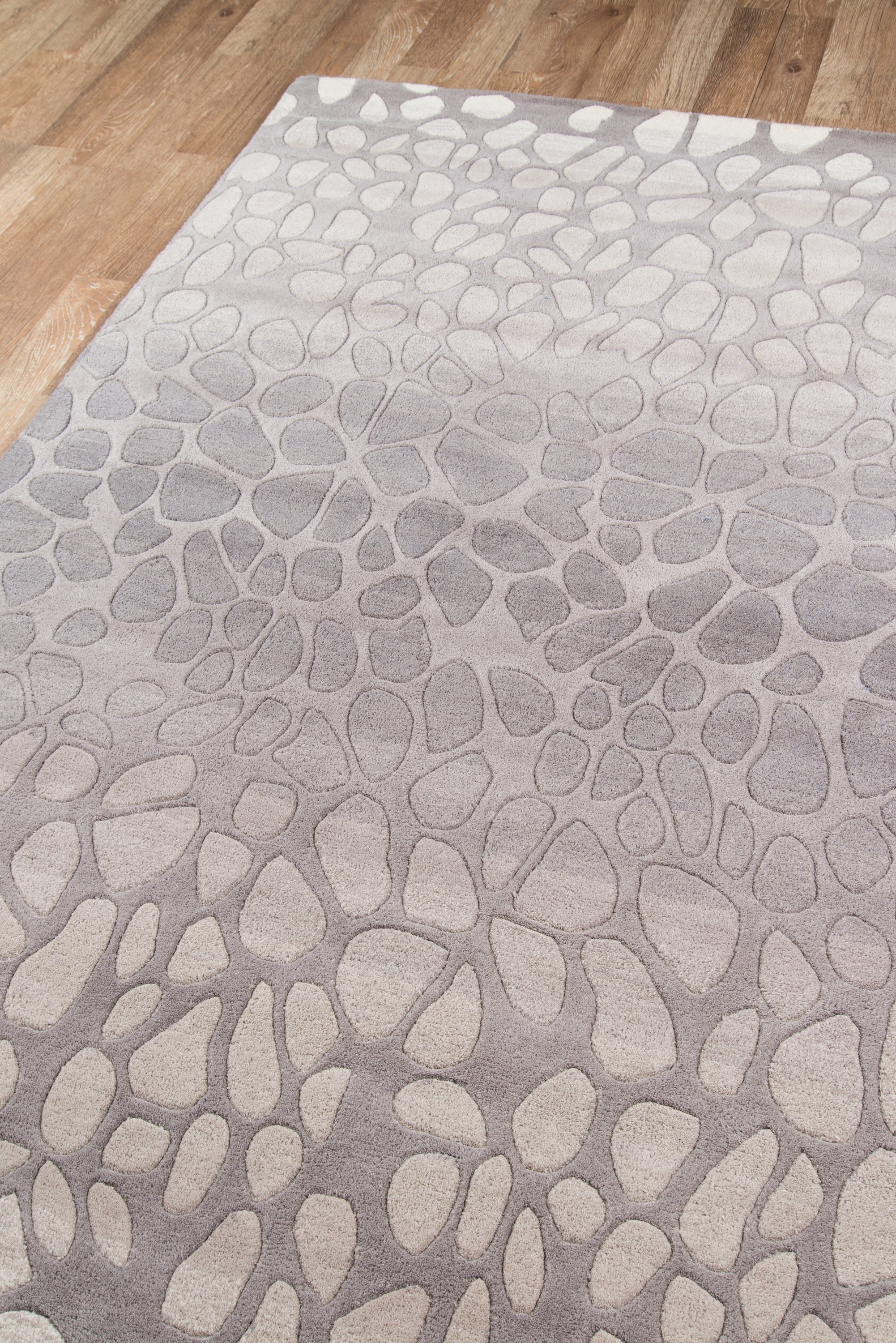 Delhi DL-33 Silver Area Rug by Momeni