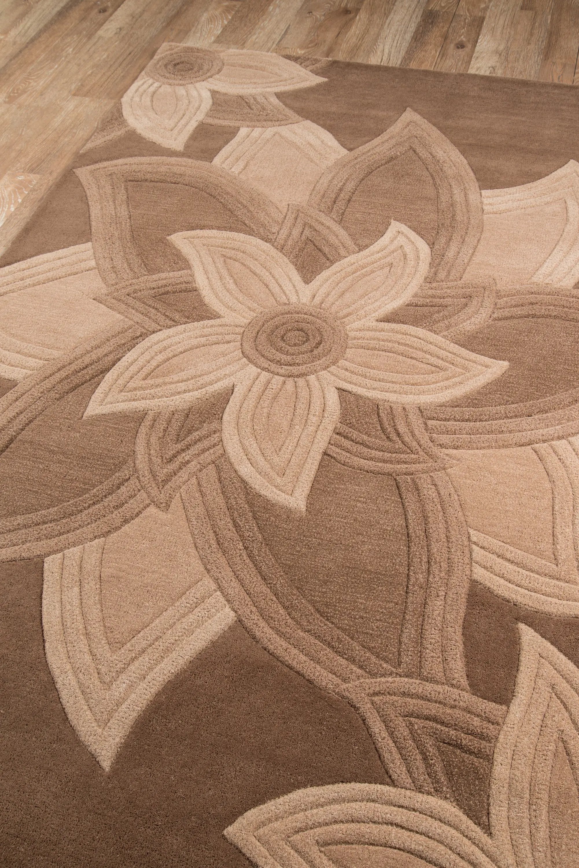 Delhi DL-40 Mocha Area Rug by Momeni