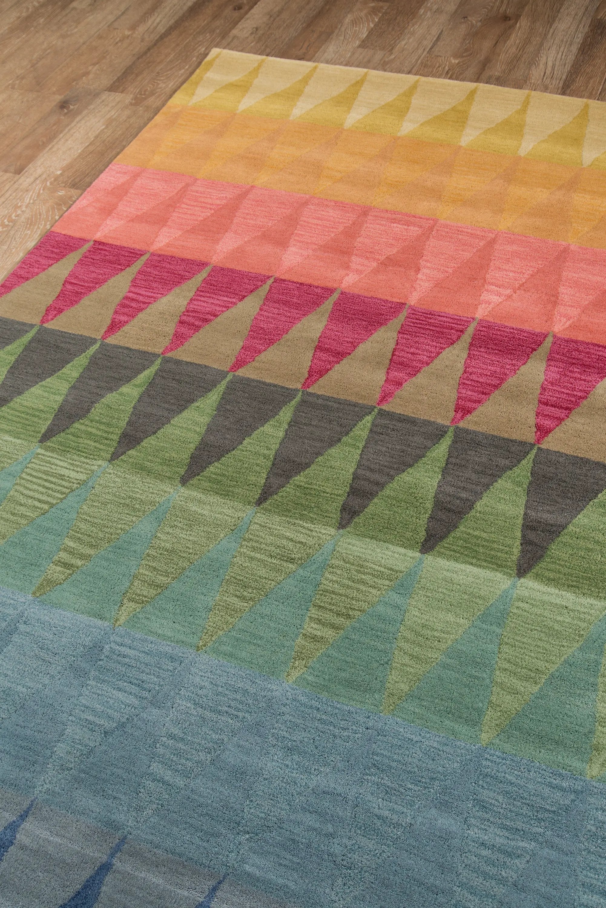 Delhi DL-59 Multicolor Area Rug by Momeni