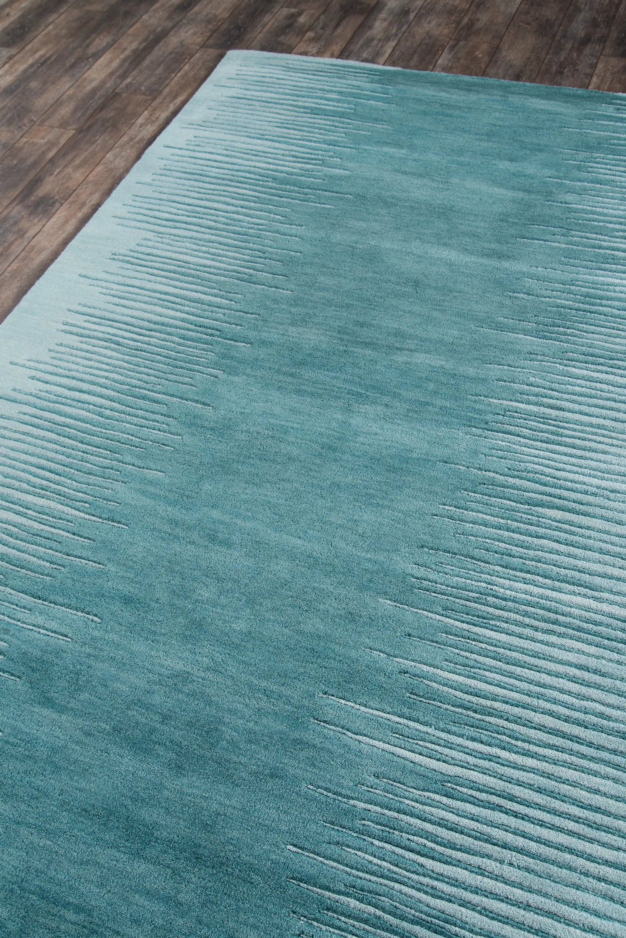 Delhi DL-63 Aqua Area Rug by Momeni