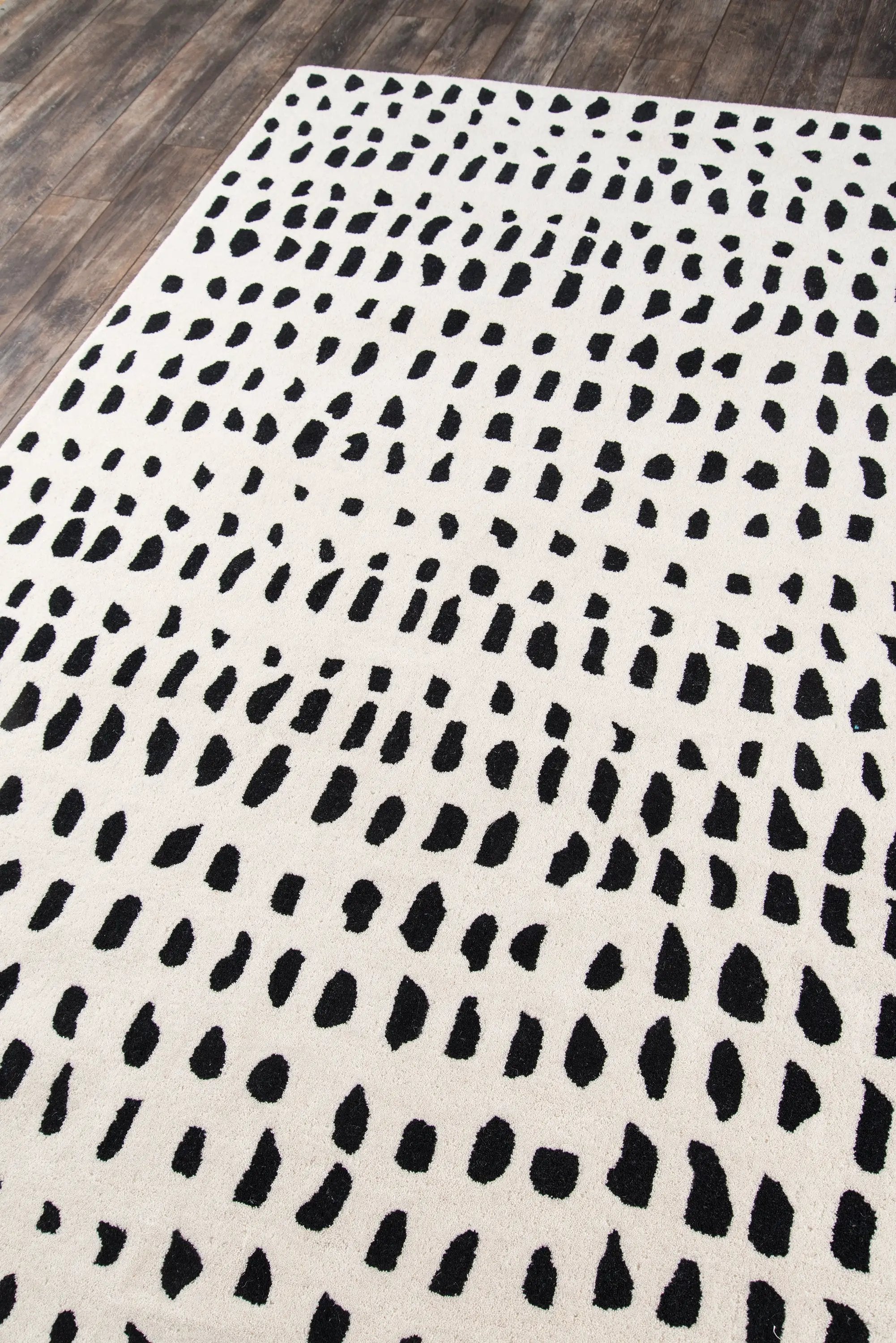 Delmar DEL-11 (Boho Dots) Ivory Area Rug by Novogratz by Momeni