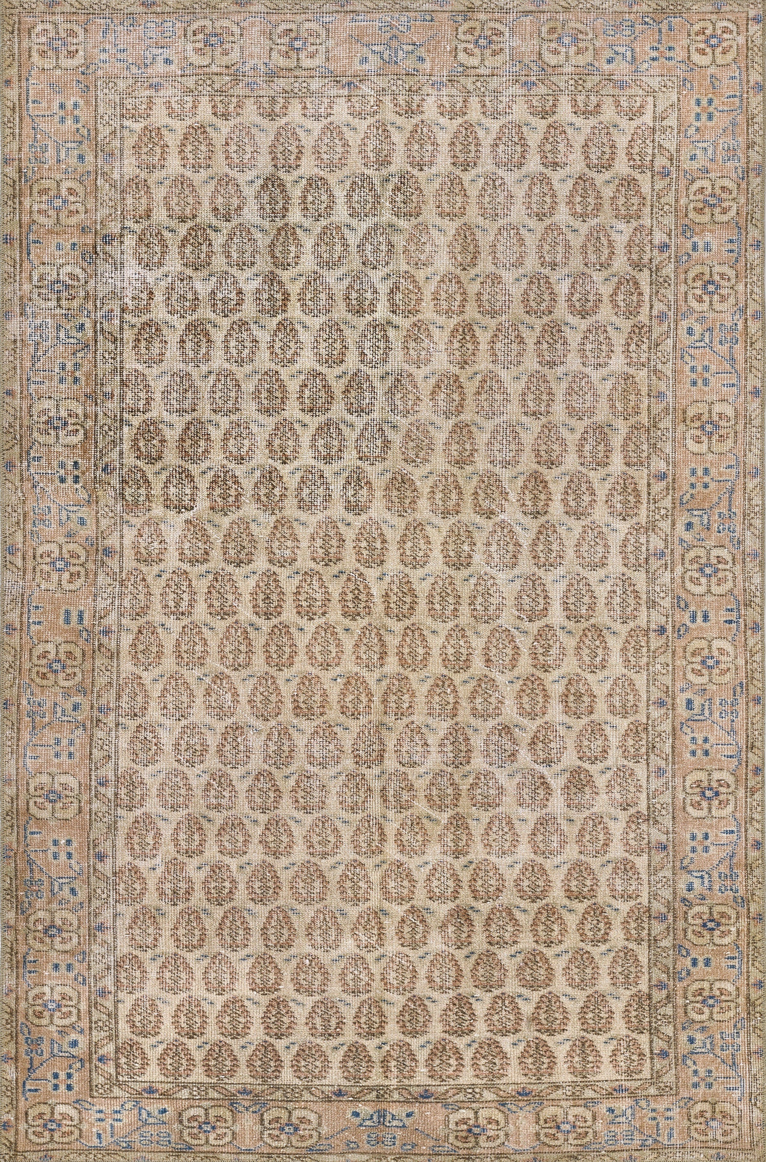 Erin Gates Dorset DOR-2 Blush Area Rug by Momeni