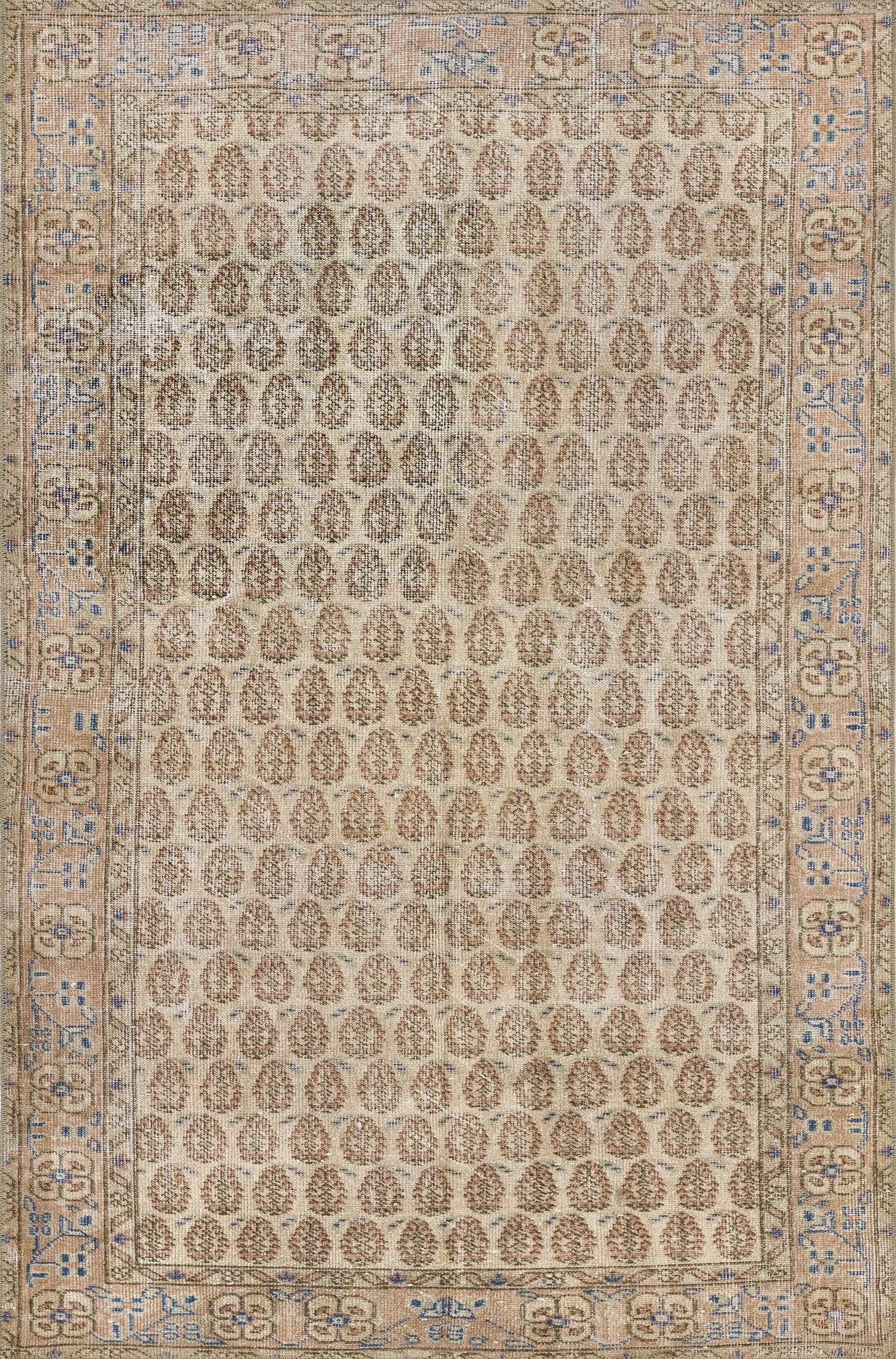 Dorset DOR-2 (Woodstock) Blush Area Rug by Erin Gates by Momeni