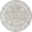 Surya Dresden DRE-2324 Gray Area Rug by LIVABLISS