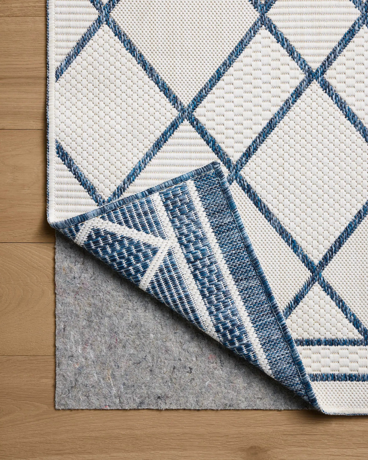 Easton ESN-08 Ivory / Denim Area Rug by Loloi