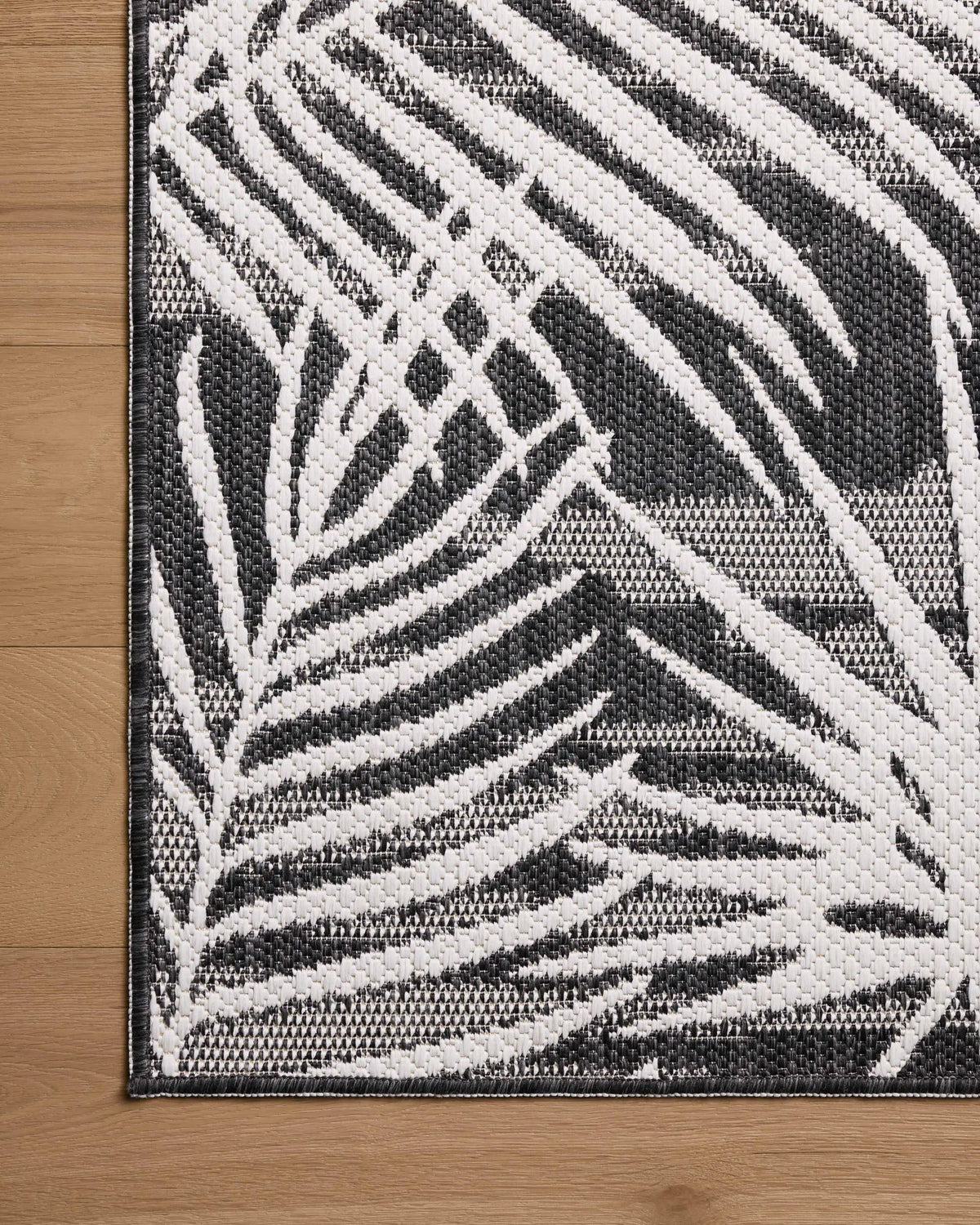 Easton ESN-09 Ivory / Onyx Area Rug by Loloi
