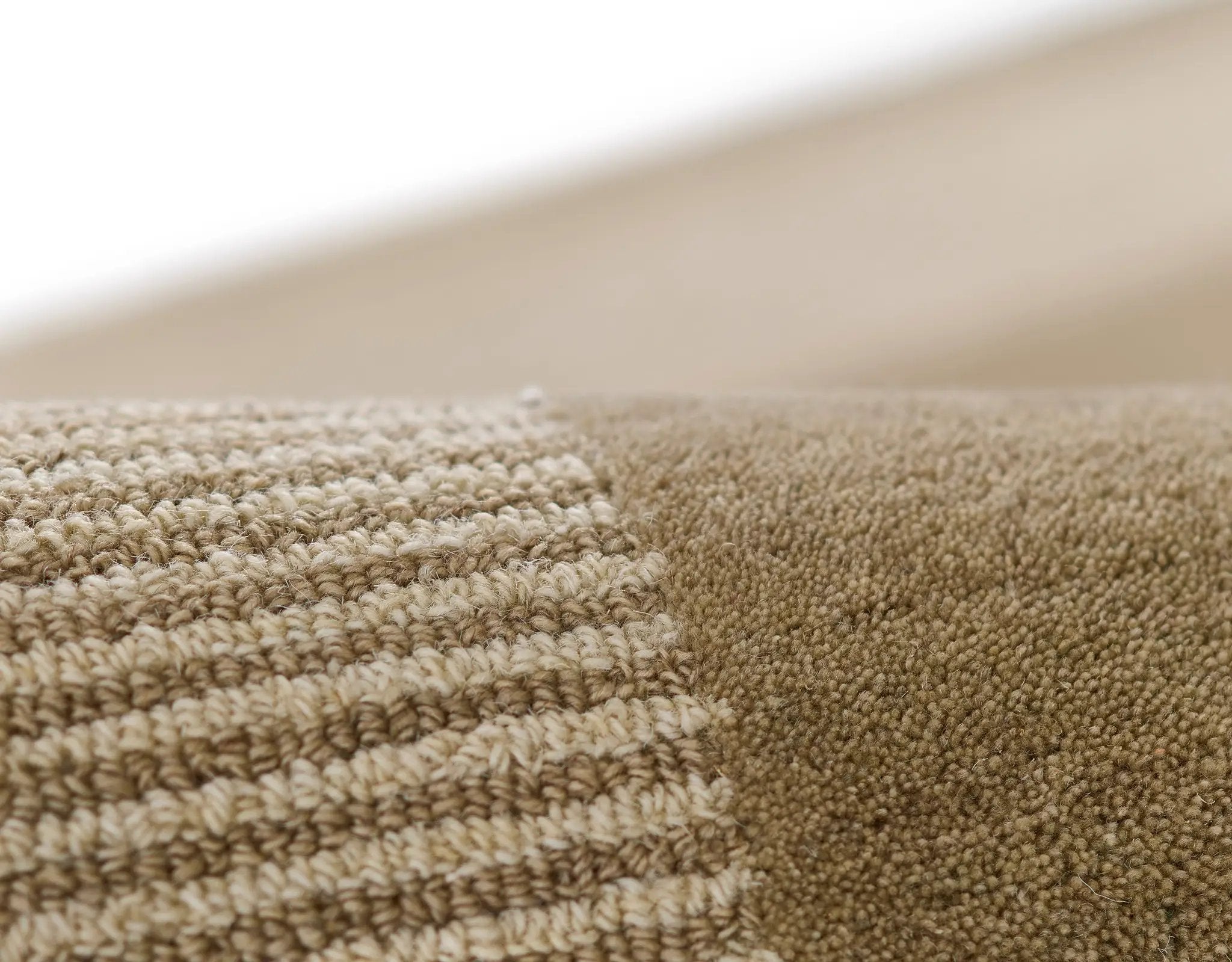 Everett EVT-6 Taupe Area Rug by Momeni