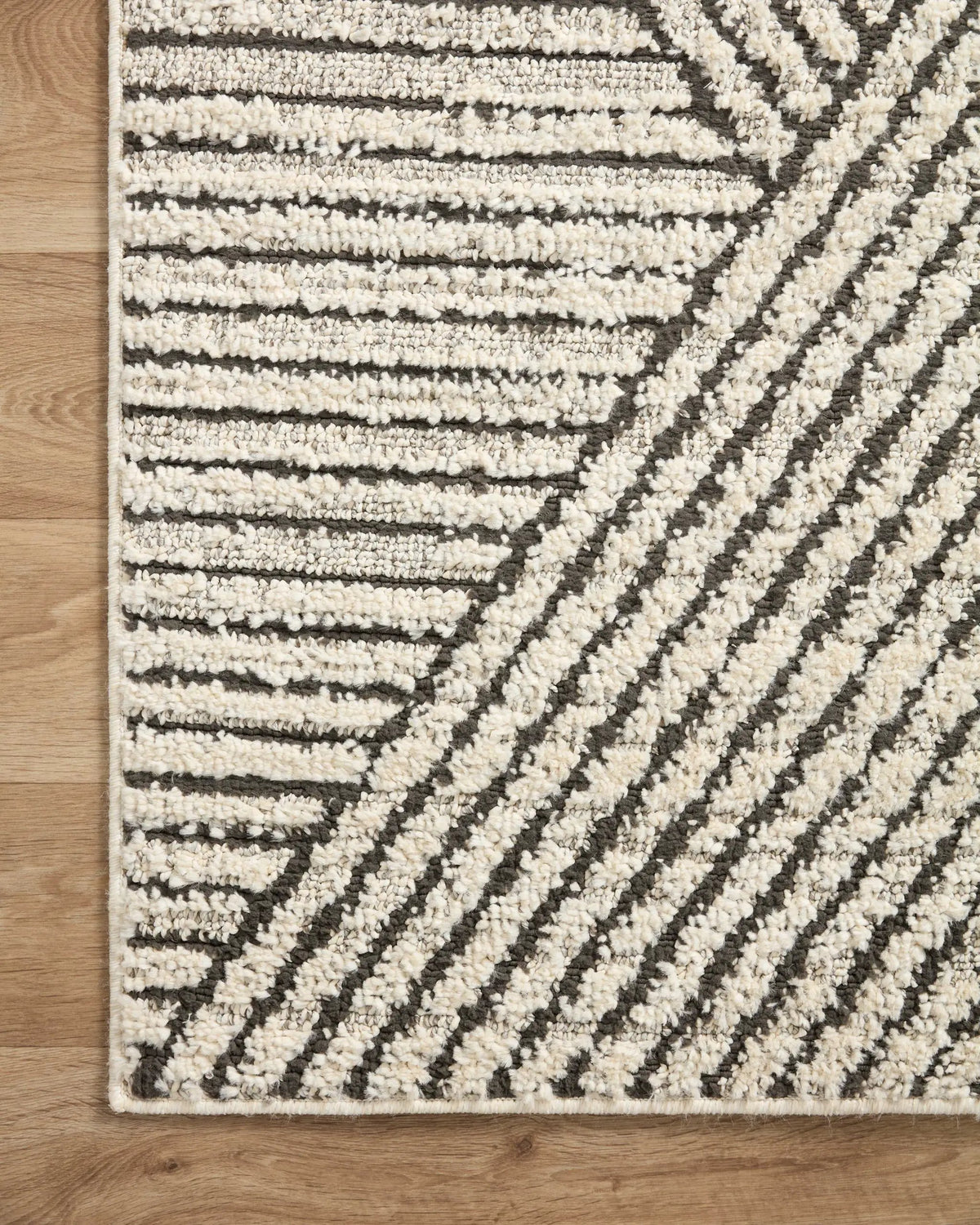 Fabian FAB-06 Charcoal / Ivory Area Rug by Loloi