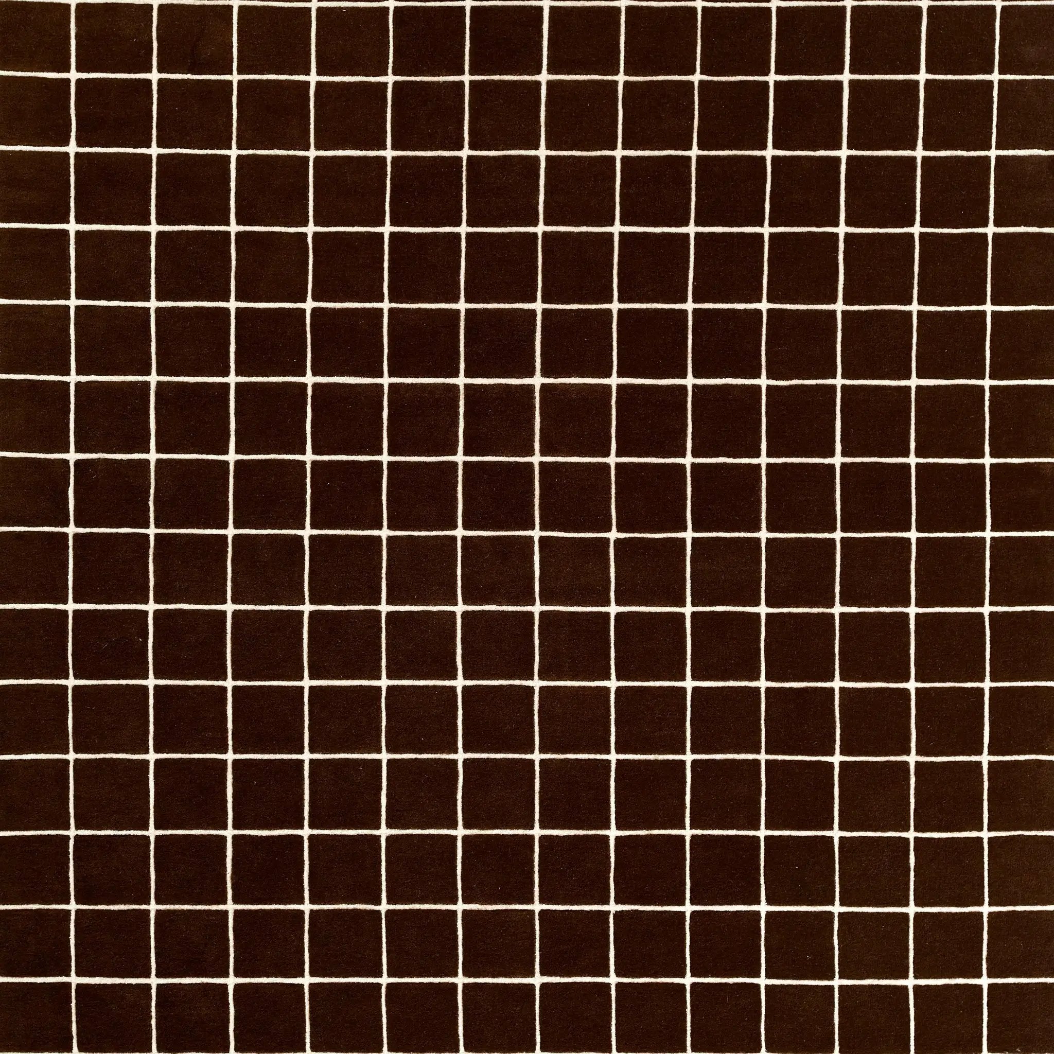 Form FRM-3 Brown Area Rug by Momeni