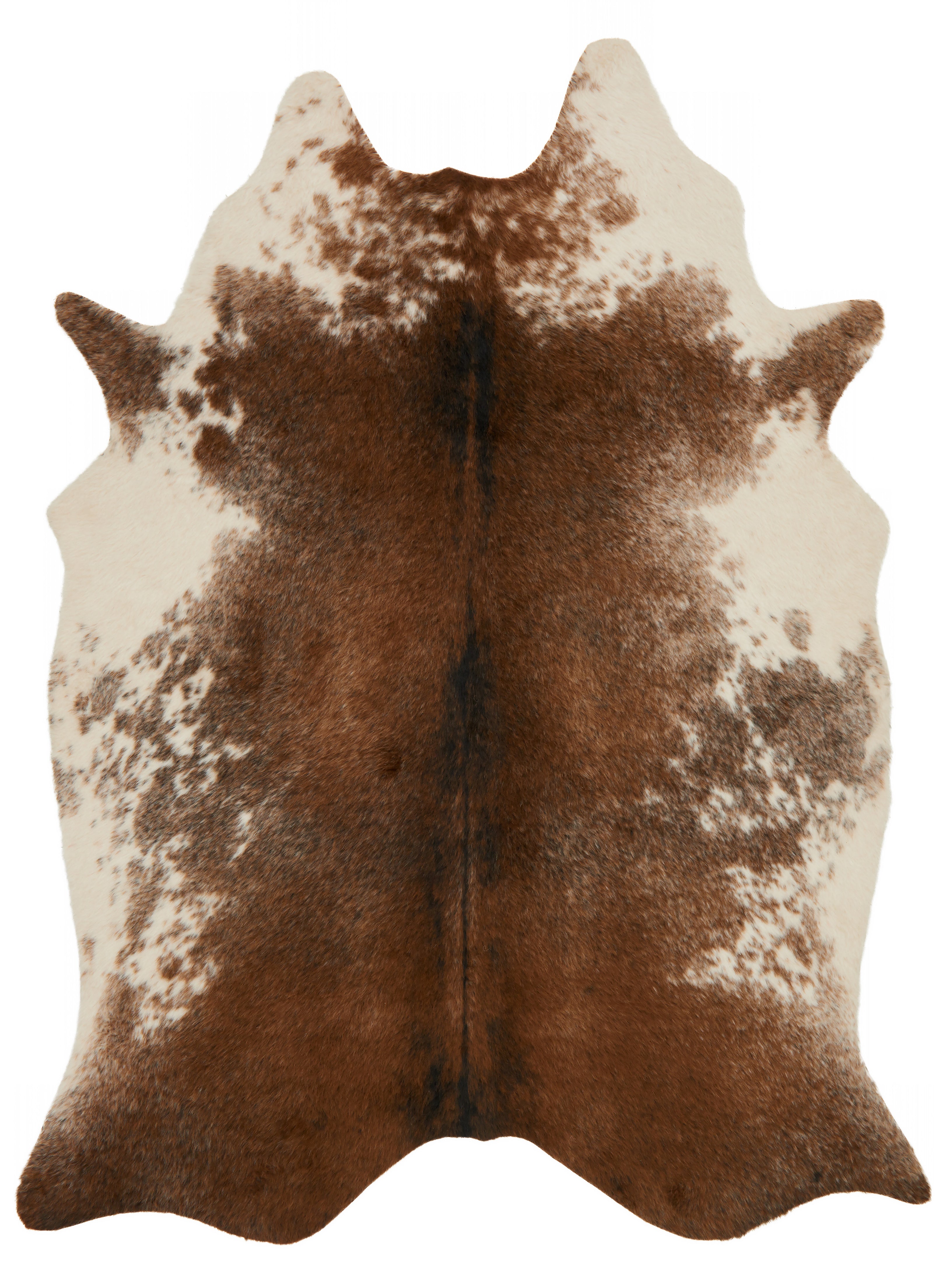 Loloi Grand Canyon GC-14 Coffee / Ivory Area Rug