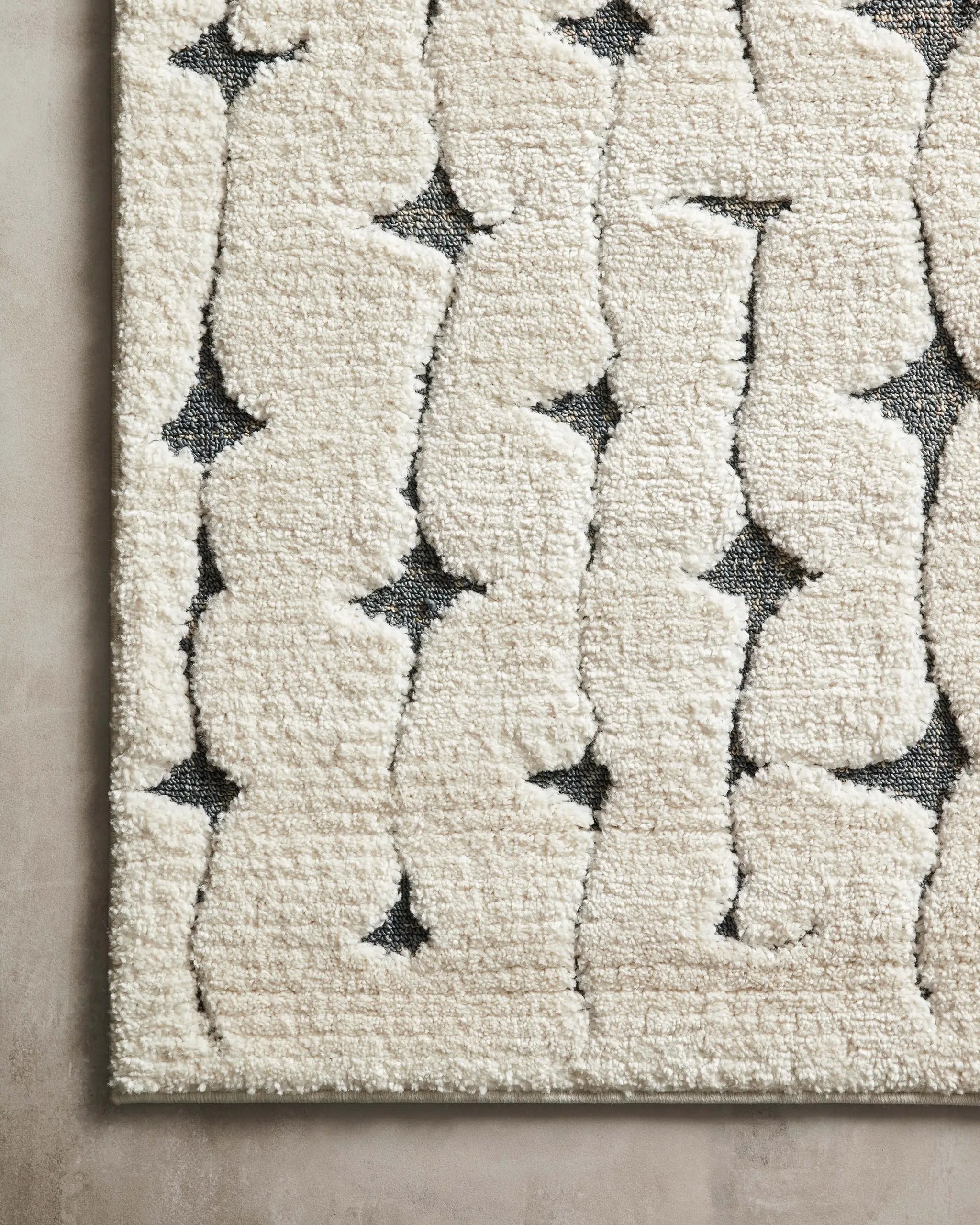 Hagen HAG-04 White / Navy Area Rug by Loloi