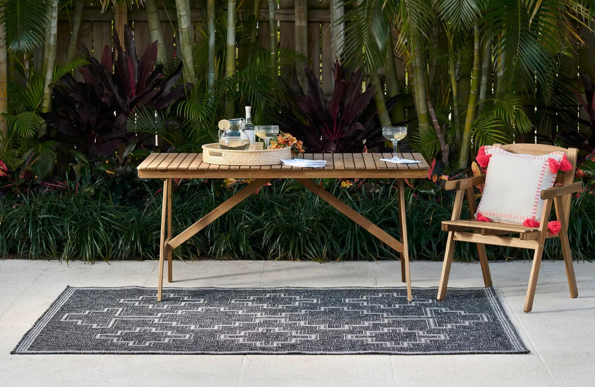 Hampton HAM-9 Black Area Rug by Momeni