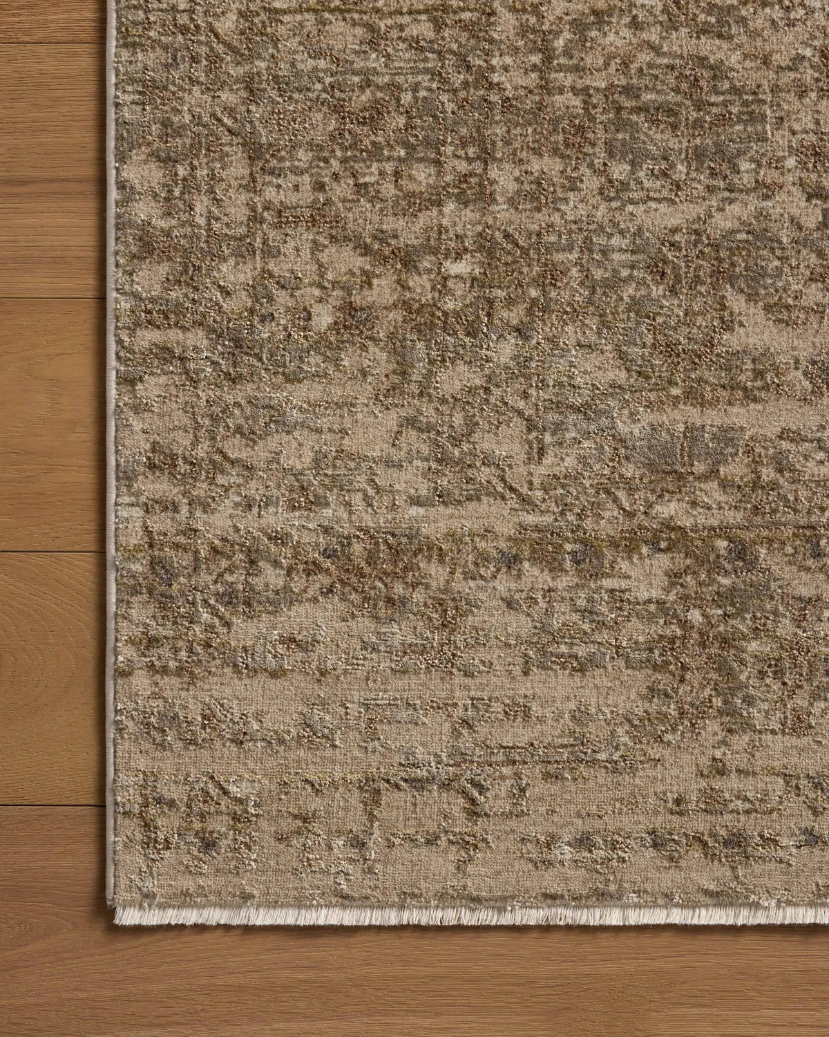 Haywood HYD-01 Sage / Sand Area Rug by Loloi