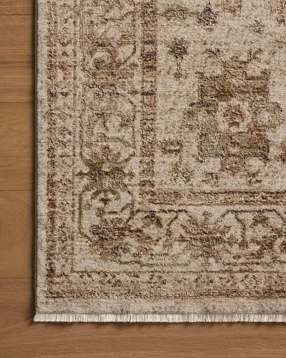 Haywood HYD-04 Ivory / Taupe Area Rug by Loloi