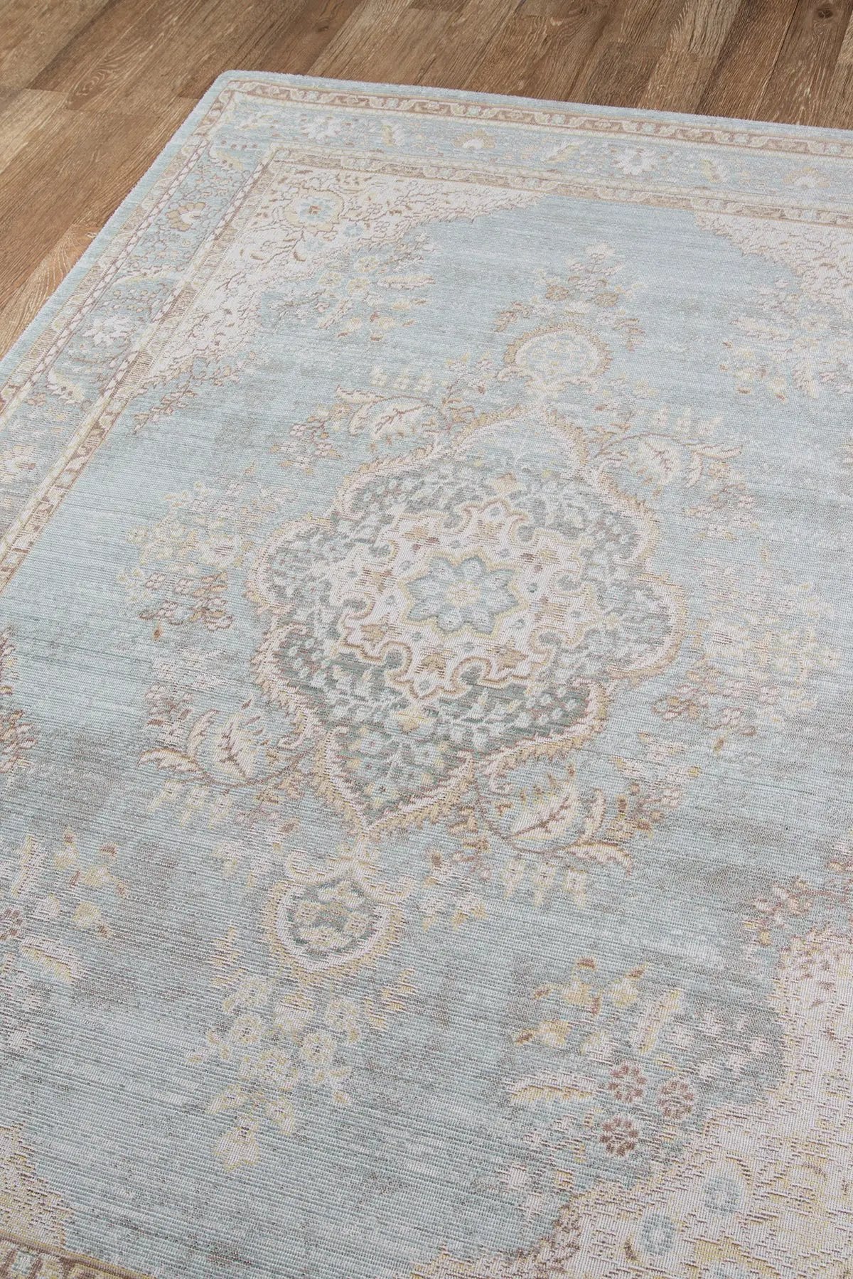 Isabella ISA-1 Blue Area Rug by Momeni