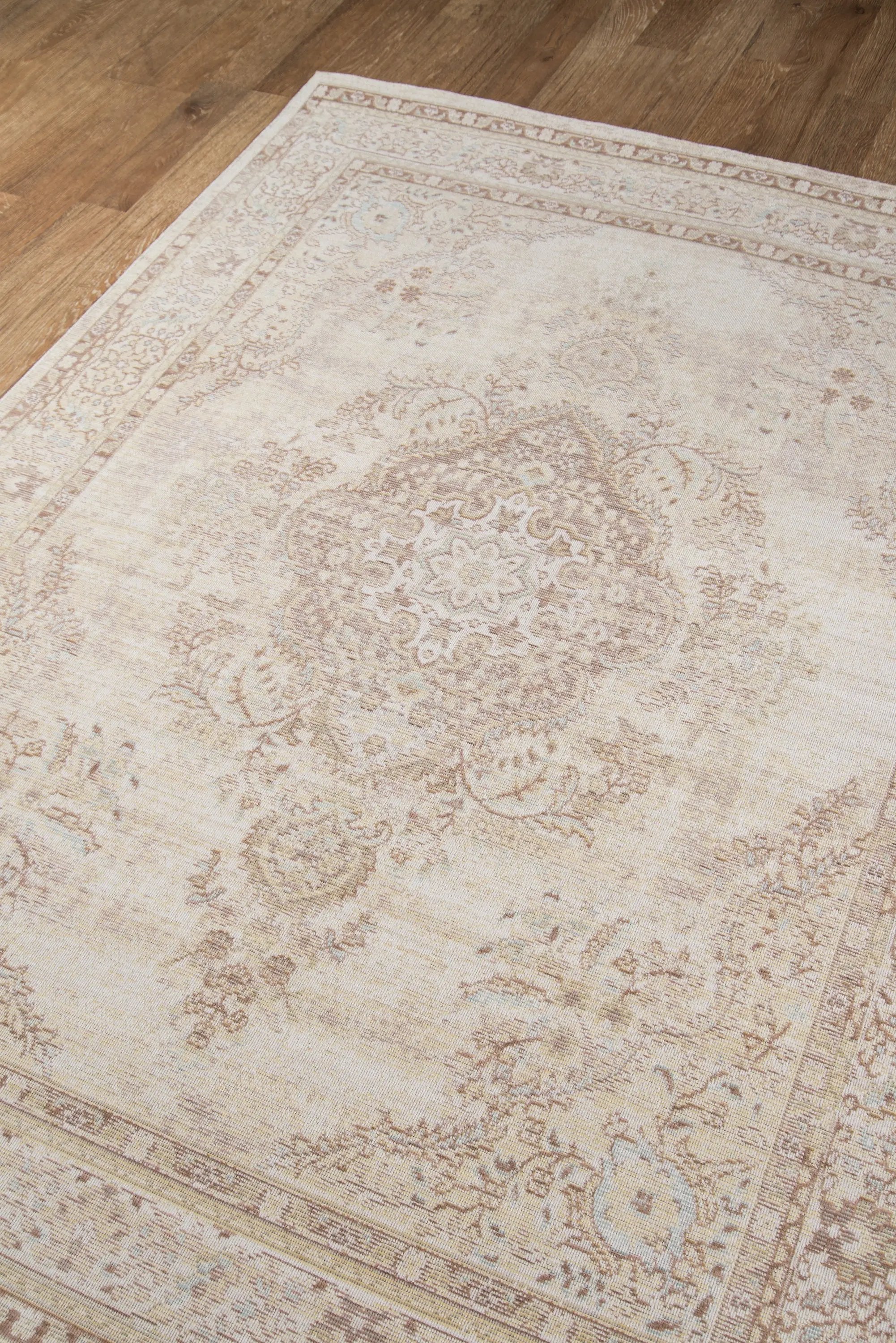 Isabella ISA-1 Ivory Area Rug by Momeni