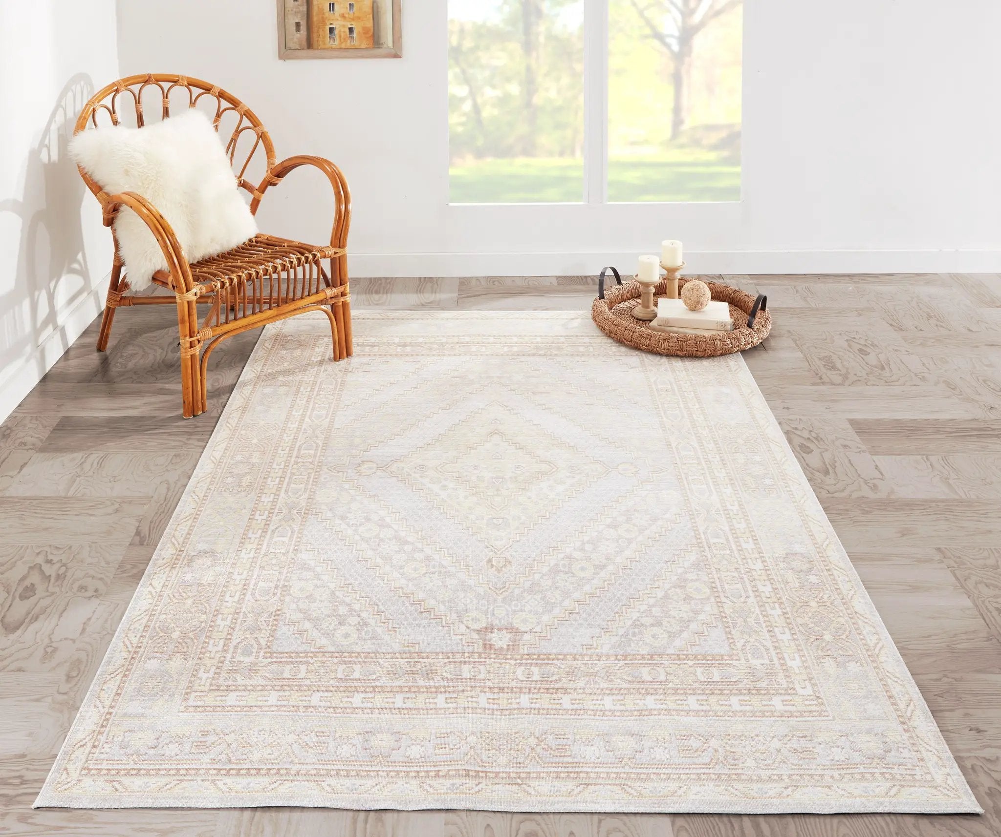 Isabella ISA-7 Gray Area Rug by Momeni