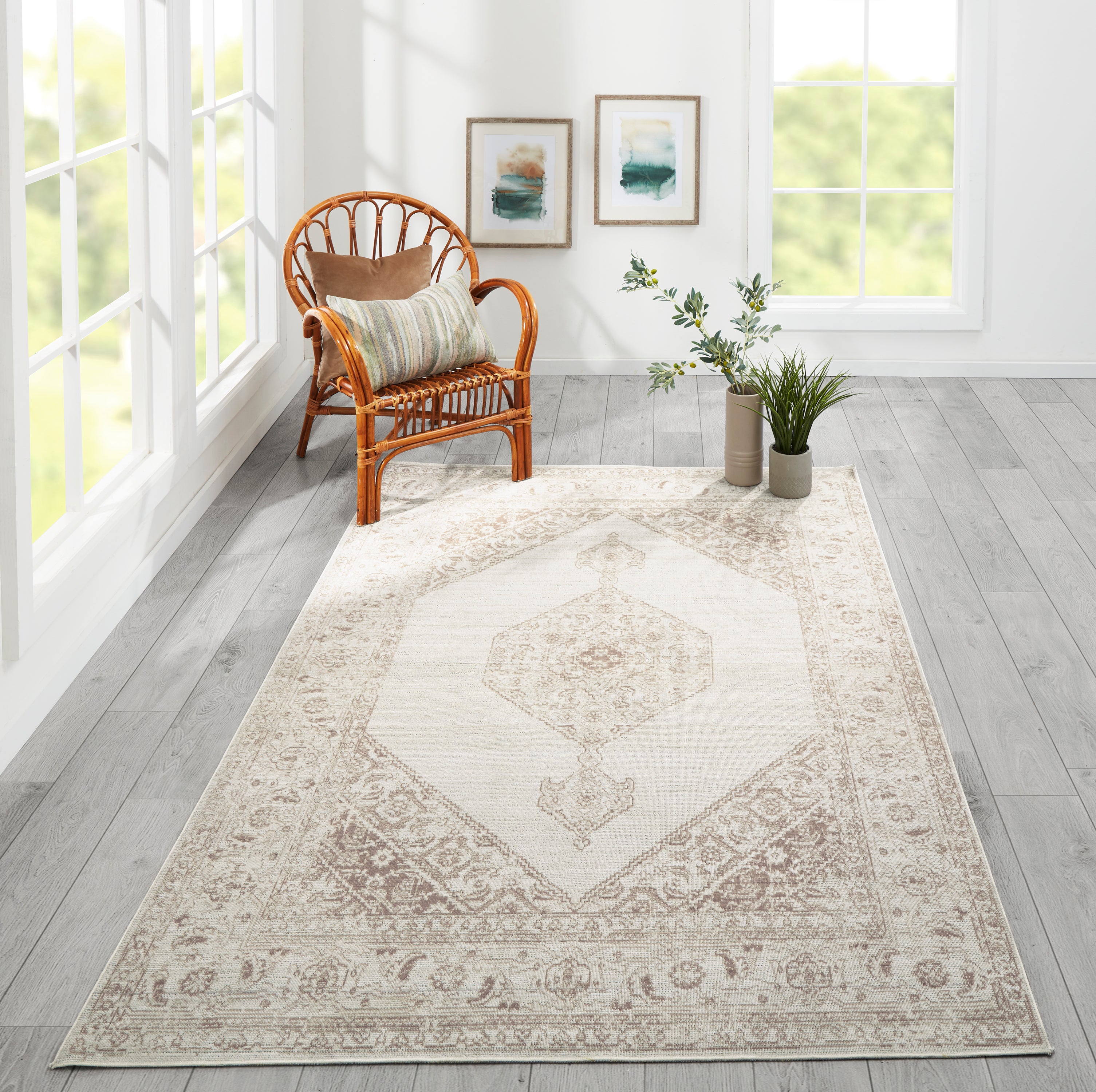 Momeni Isabella ISA-10 Brown Area Rug