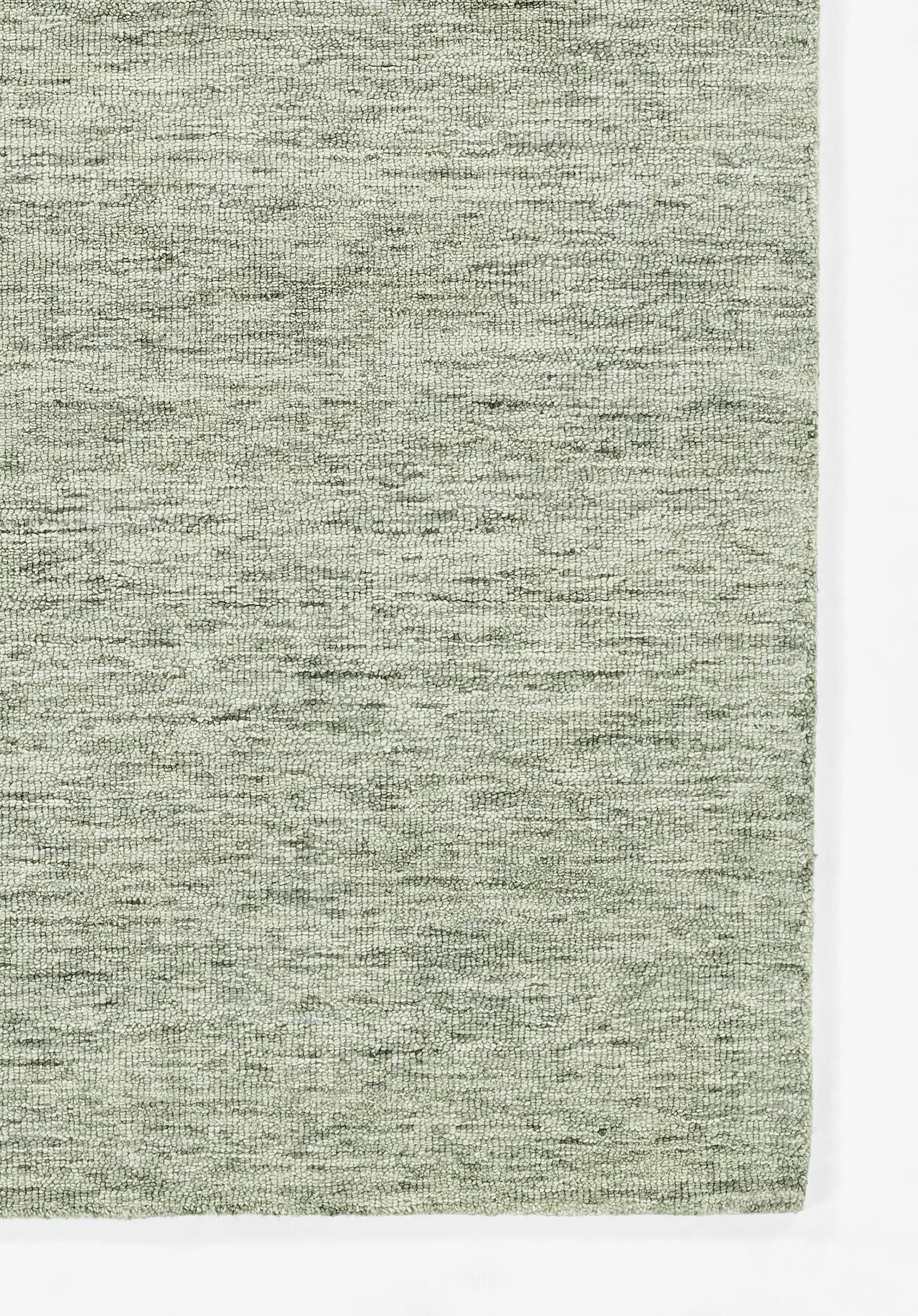 James JAM-1 Sage Area Rug by Momeni