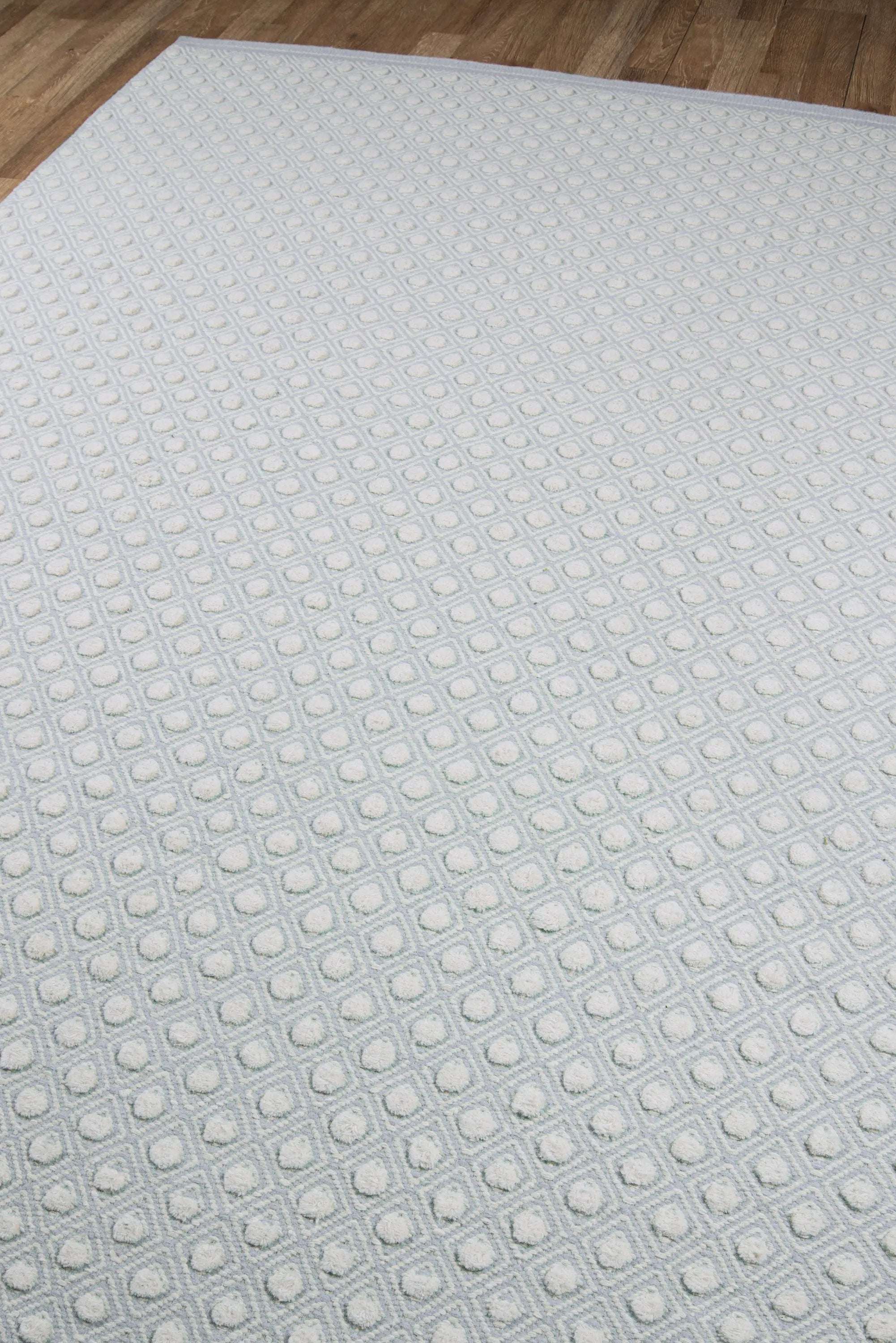 Langdon LGD-2 (Windsor) Blue Area Rug by Erin Gates by Momeni
