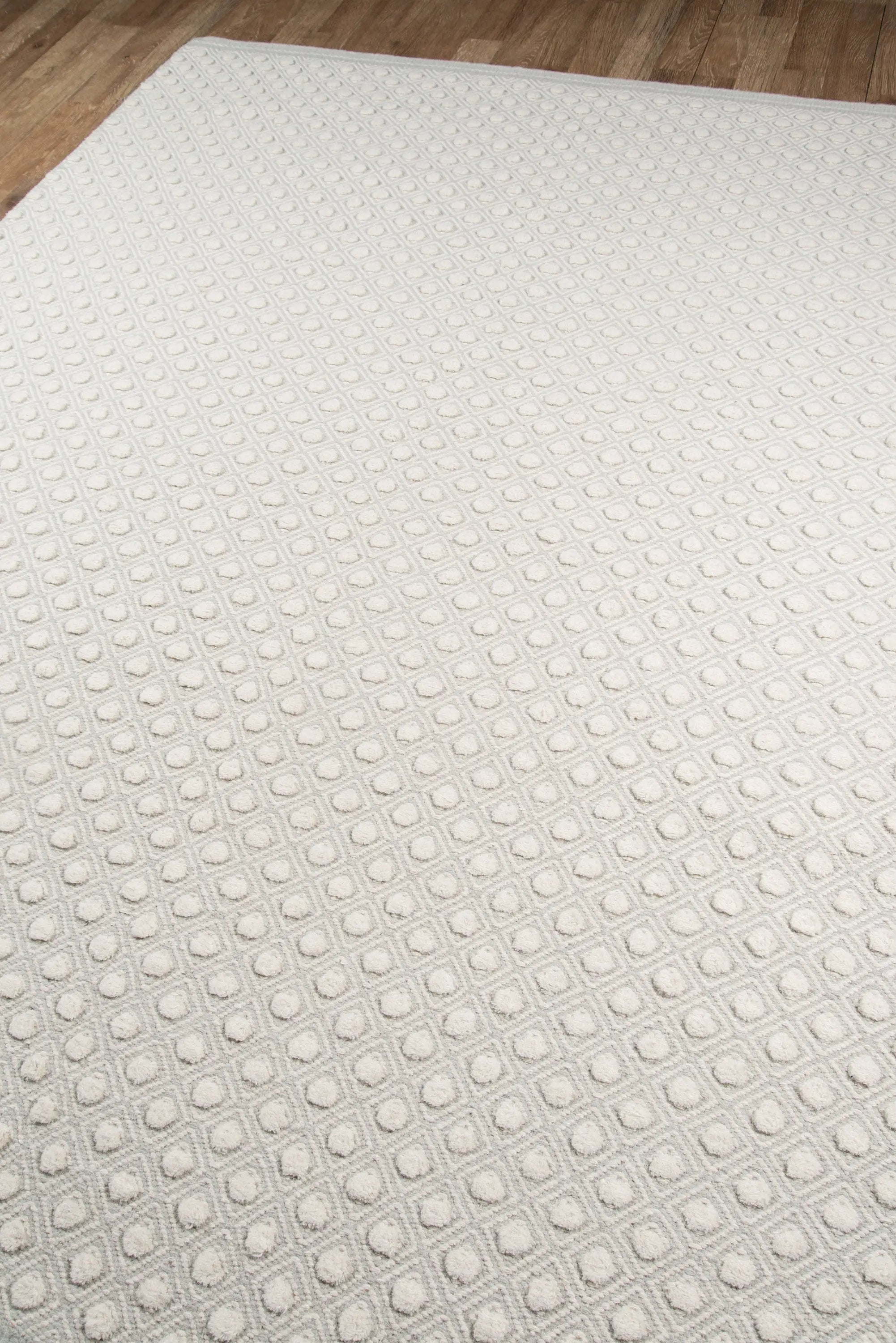 Langdon LGD-2 (Windsor) Gray Area Rug by Erin Gates by Momeni