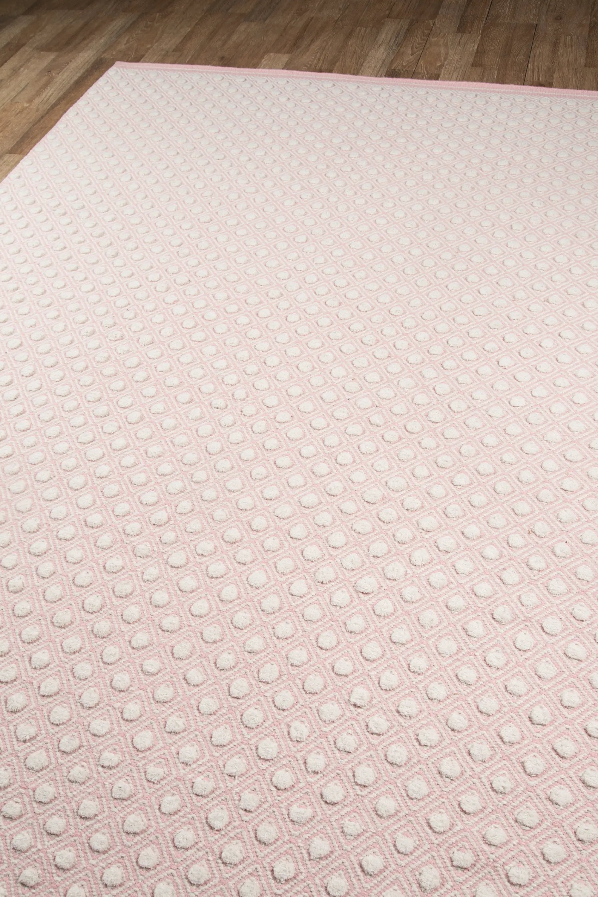 Langdon LGD-2 (Windsor) Pink Area Rug by Erin Gates by Momeni