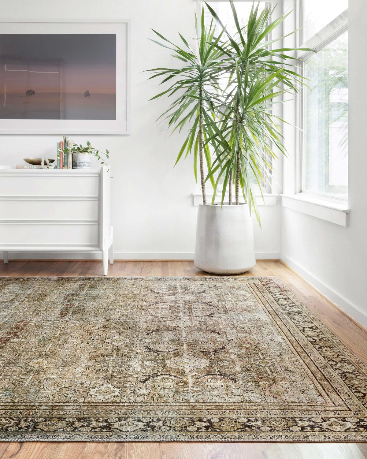 Layla LAY-03 Olive / Charcoal Area Rug by Loloi