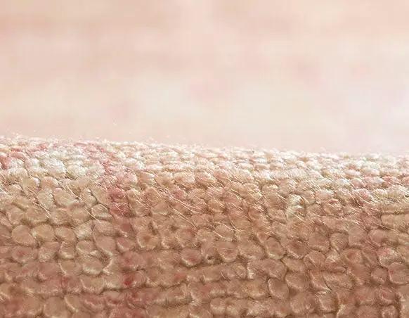Luna LNA-3 Pink Area Rug by Momeni