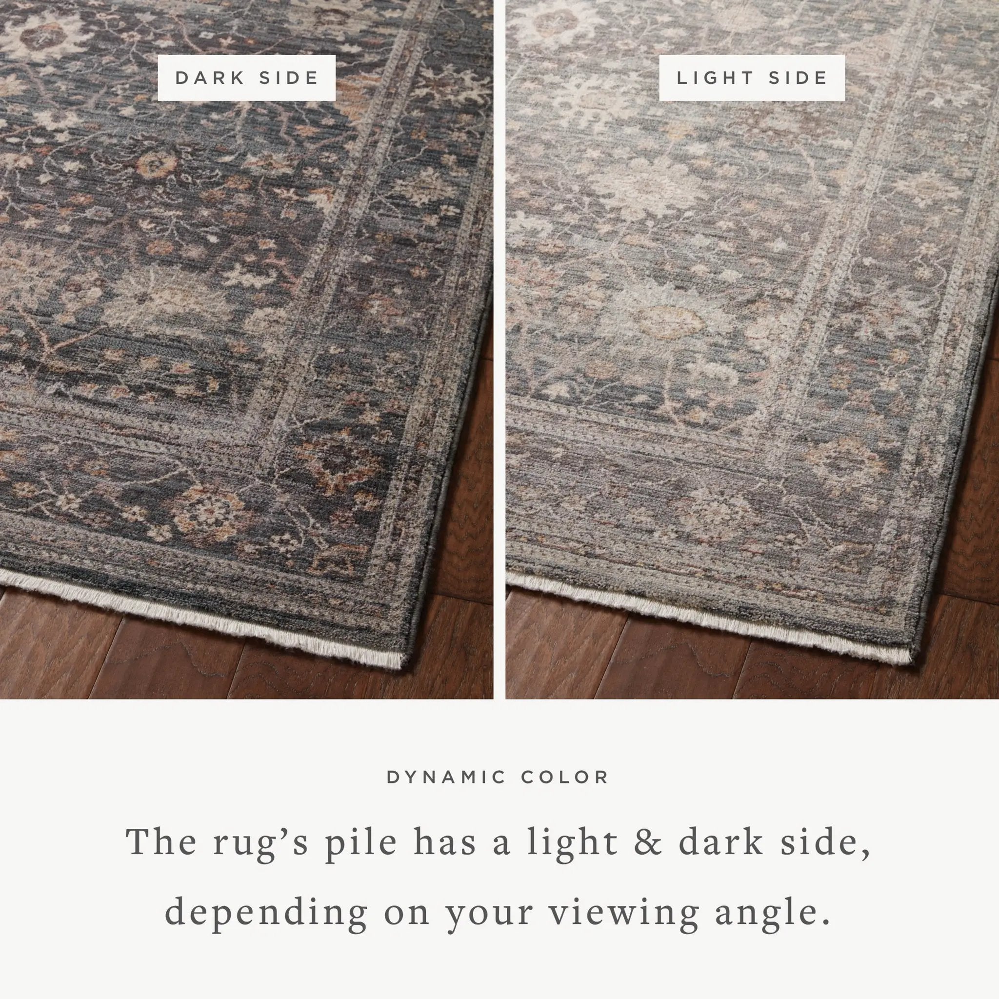 Lyra LYR-04 Ink / Multi Area Rug by Loloi