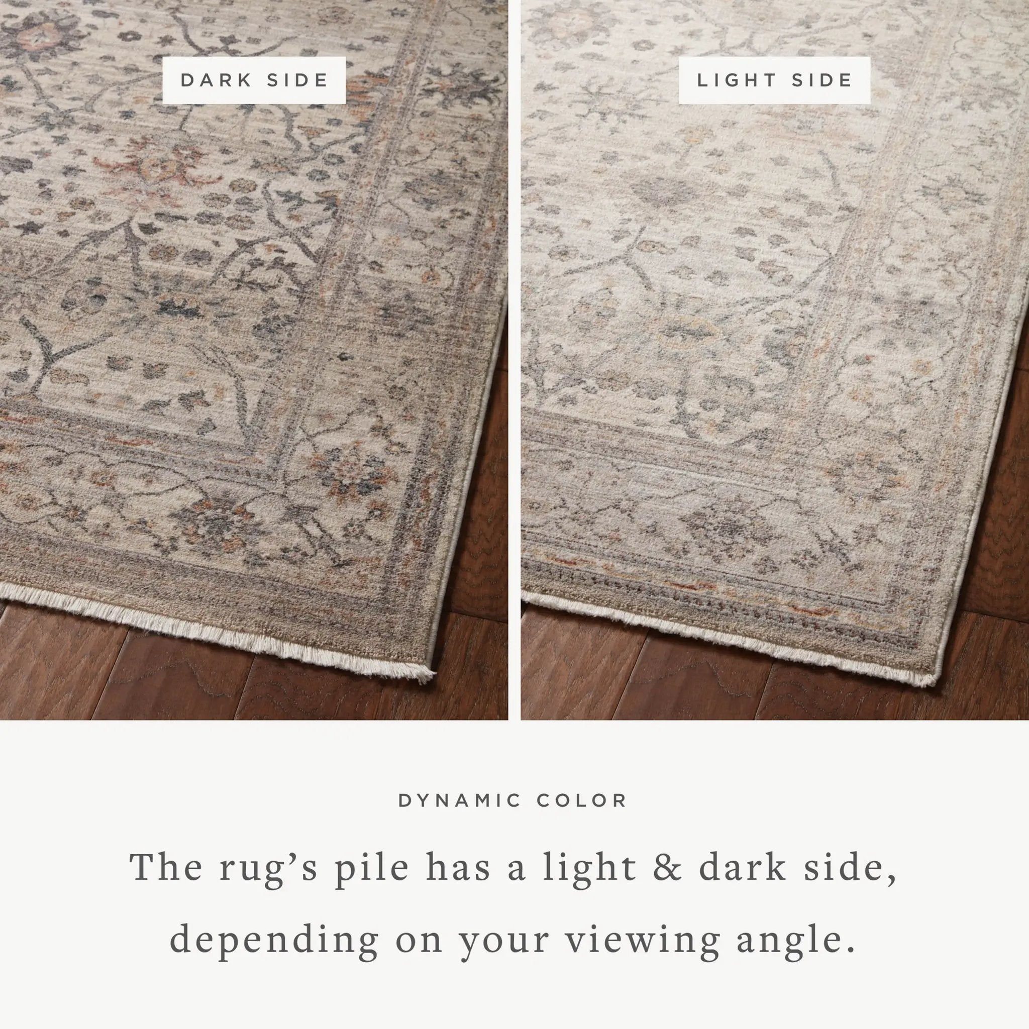 Lyra LYR-04 Pebble / Multi Area Rug by Loloi
