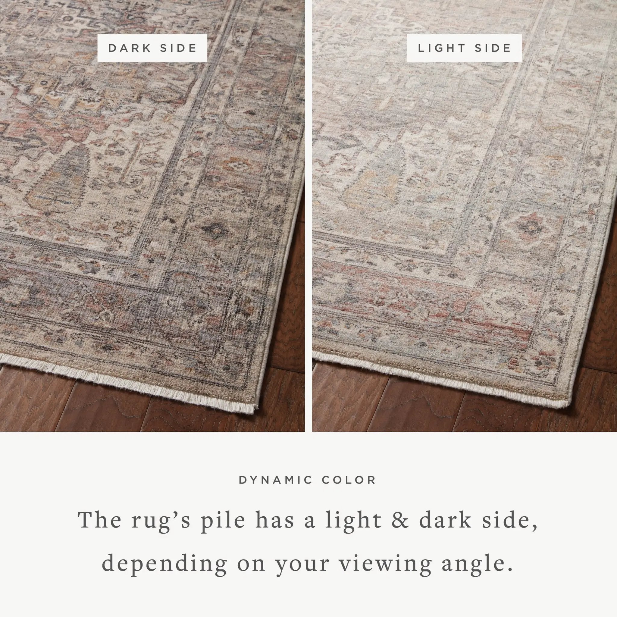 Lyra LYR-05 Sunset / Silver Area Rug by Loloi