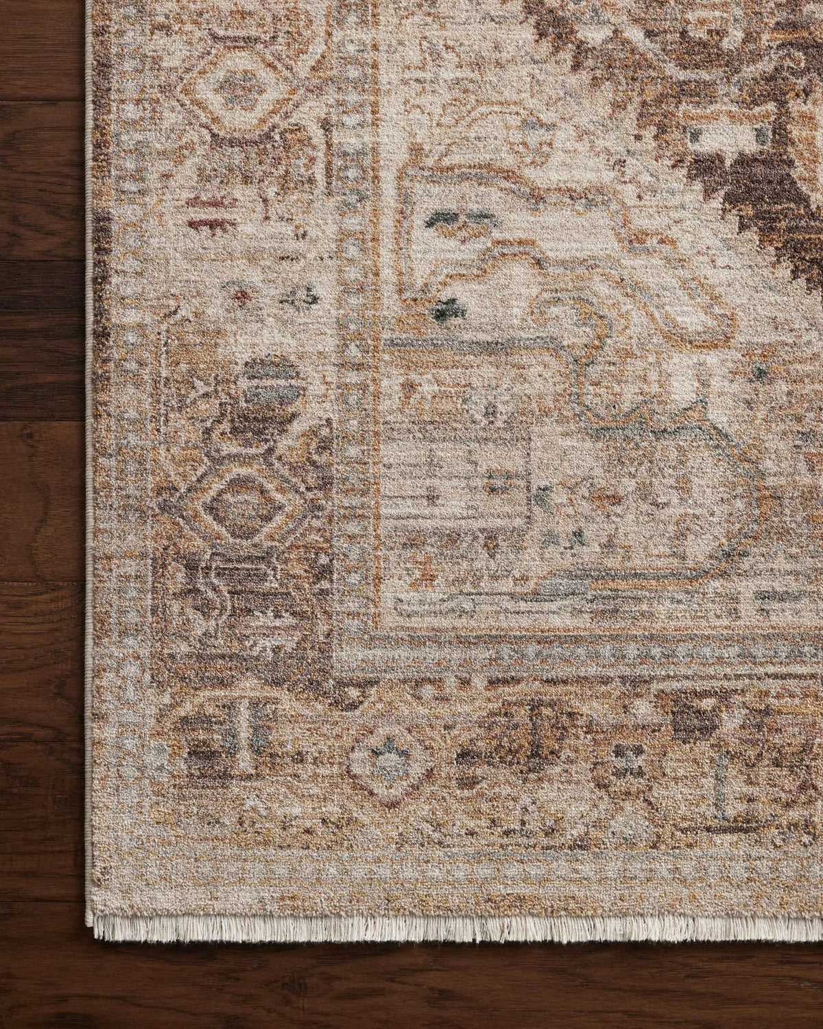 Lyra LYR-07 Natural / Mocha Area Rug by Loloi