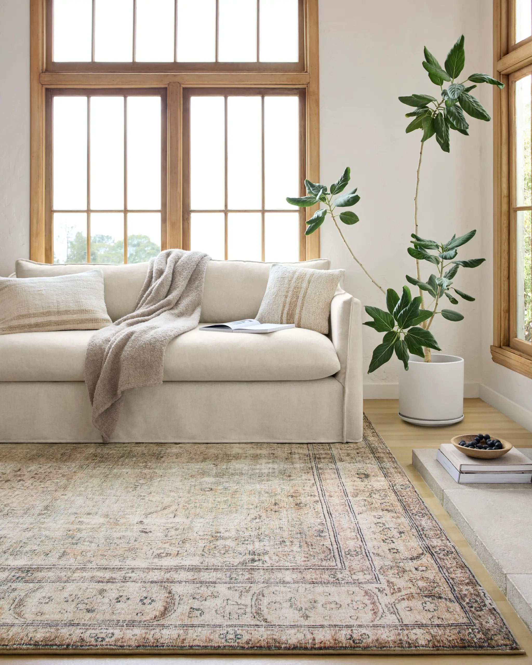 Margot MAT-01 Antique / Sage Area Rug by Loloi