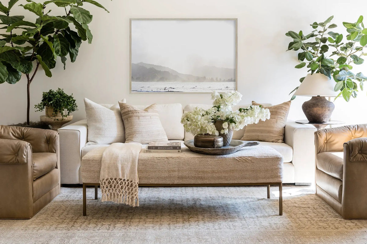 Menorca MEN-1 (Bazzaar) Green Area Rug by Pure Salt by Momeni