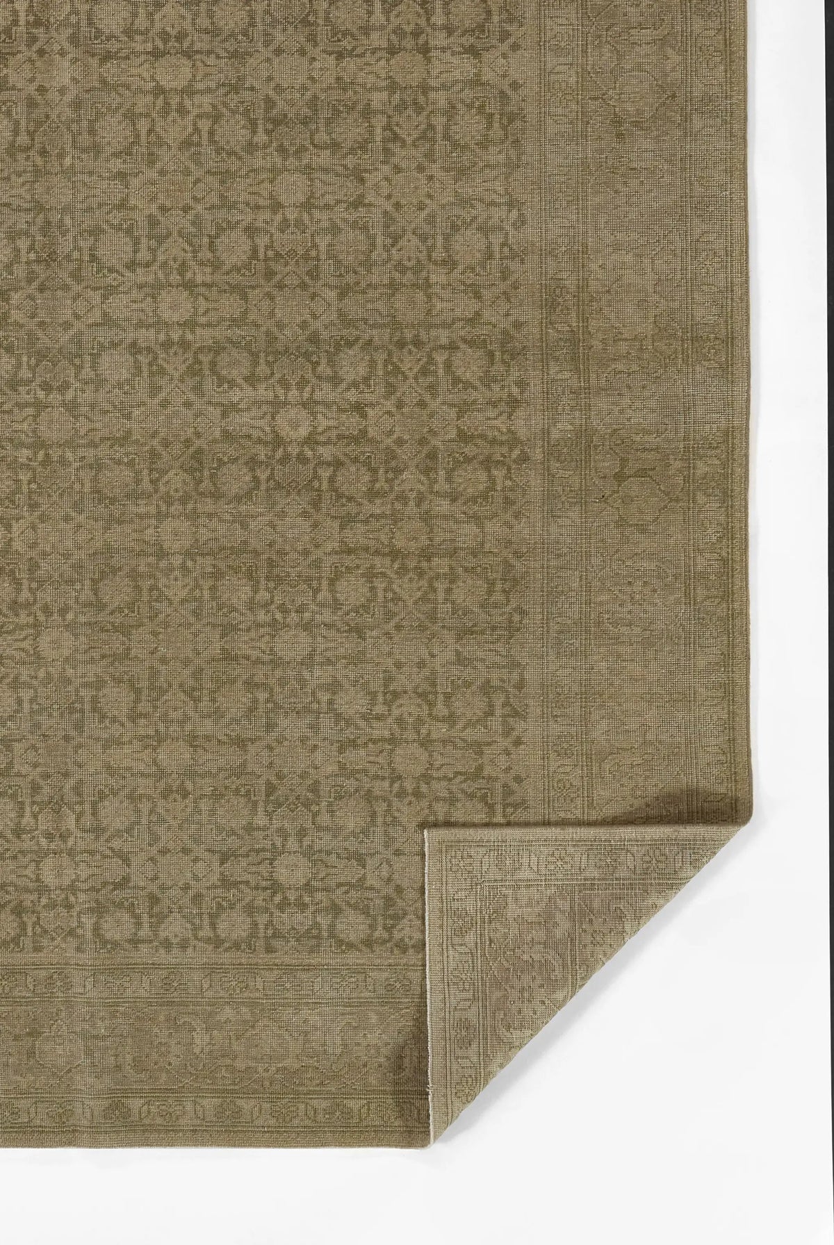 Menorca MEN-1 (Bazzaar) Green Area Rug by Pure Salt by Momeni