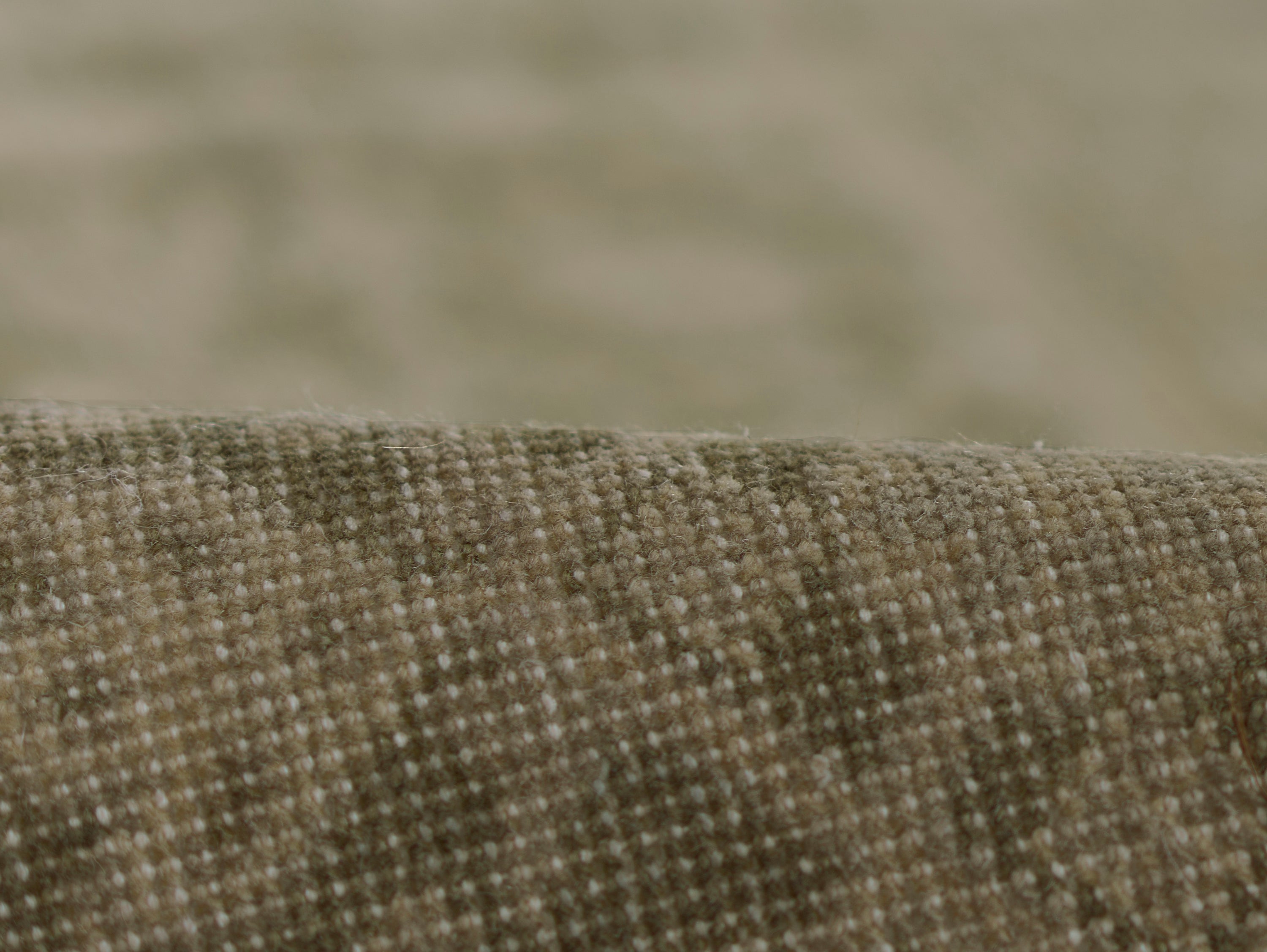 Pure Salt Menorca MEN-1 Green Area Rug by Momeni
