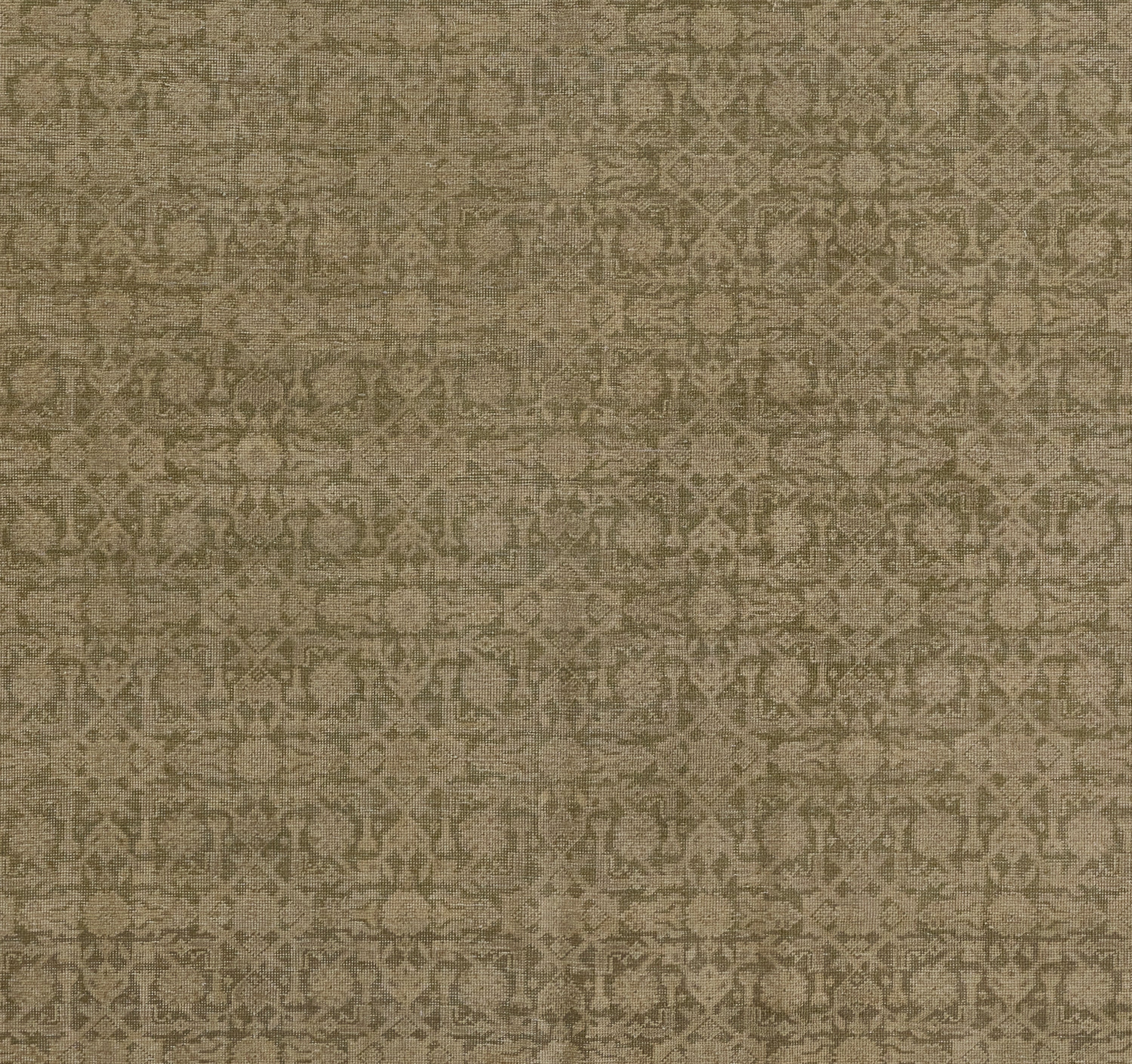 Pure Salt Menorca MEN-1 Green Area Rug by Momeni