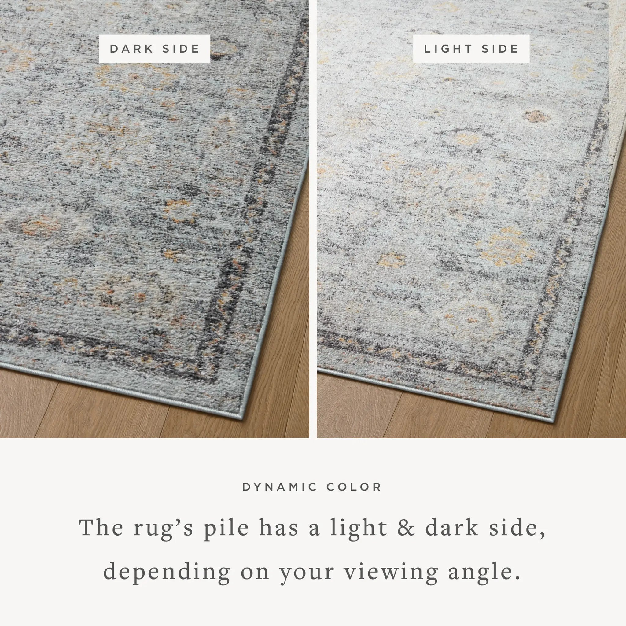 Monroe MON-04 Sky / Gold Area Rug by Loloi