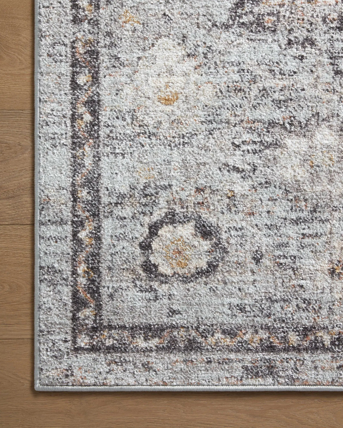 Monroe MON-04 Sky / Gold Area Rug by Loloi