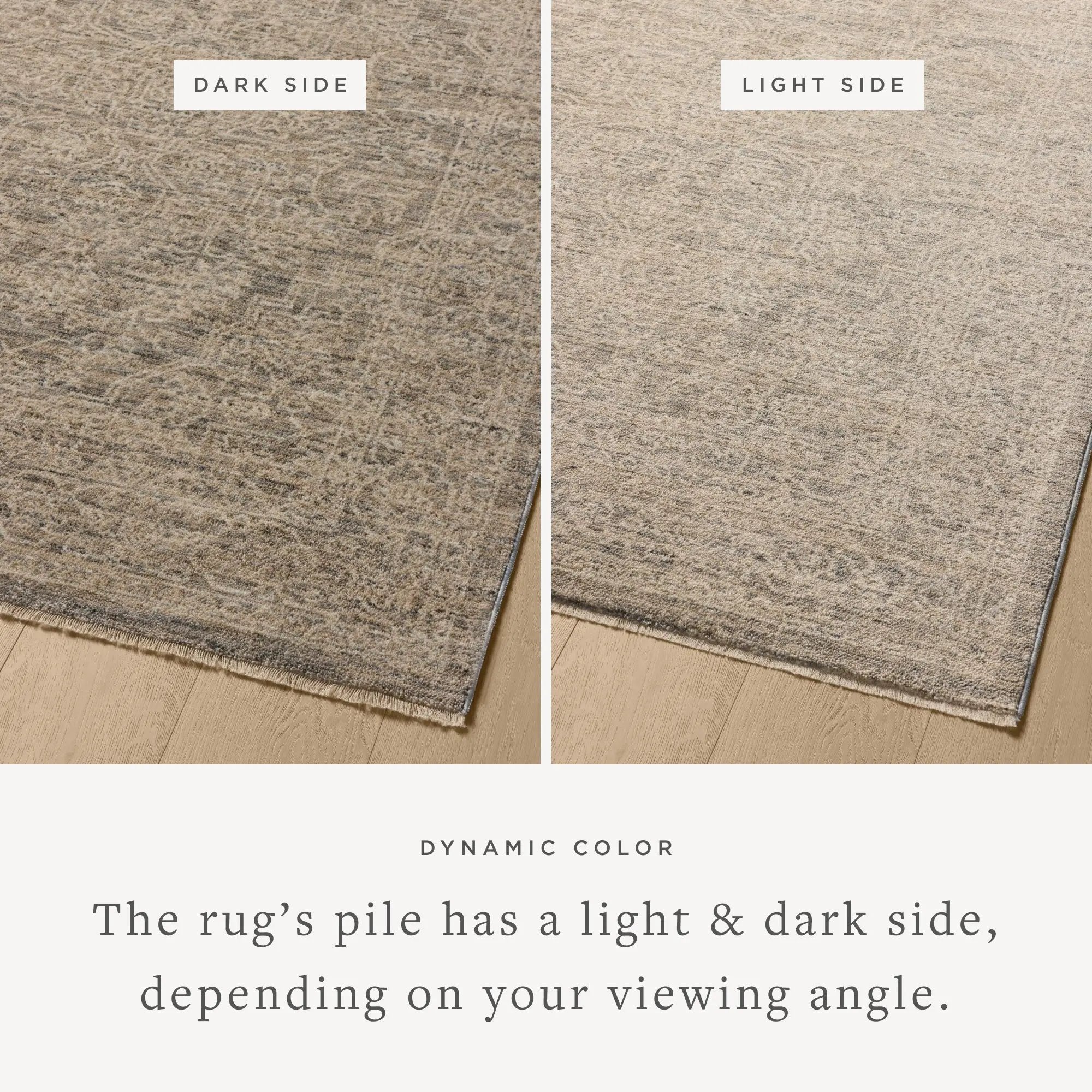 Newman NEW-01 Slate / Natural Area Rug by Loloi