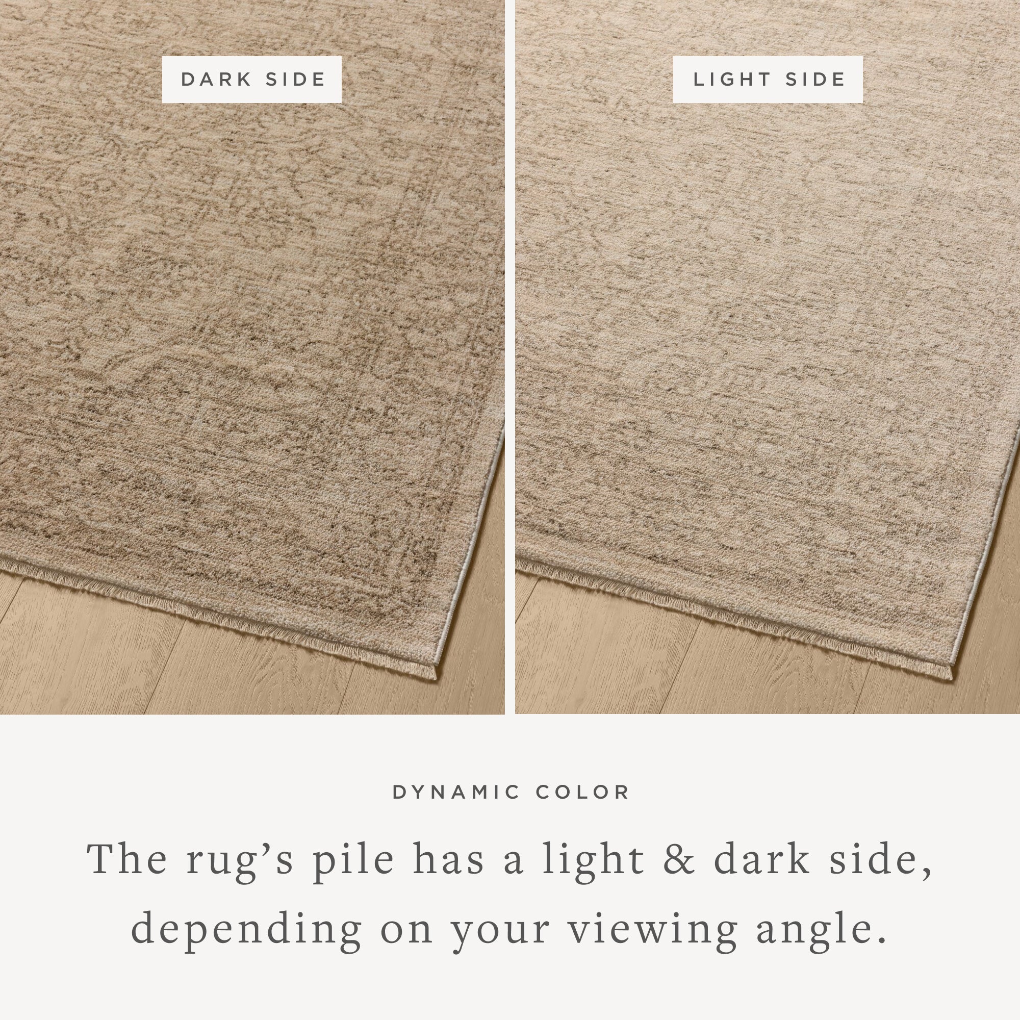 The Newman NEW-01 Taupe / Bone Area Rug transforms any space with versatile taupe and bone tones and vintage and distressed design in a power-loomed polyester area rug