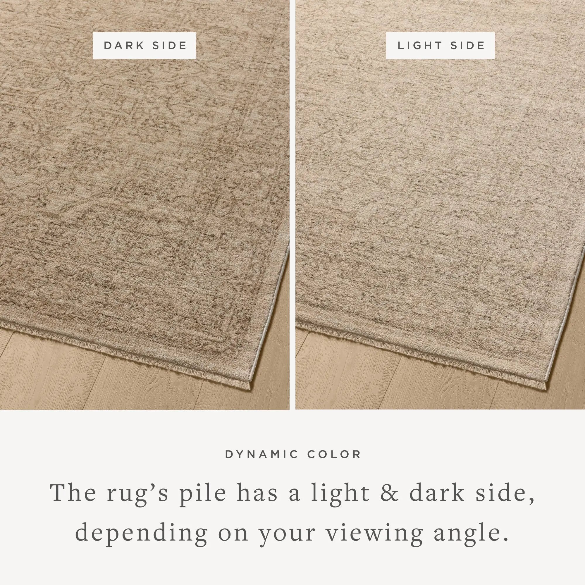 Newman NEW-01 Taupe / Bone Area Rug by Loloi