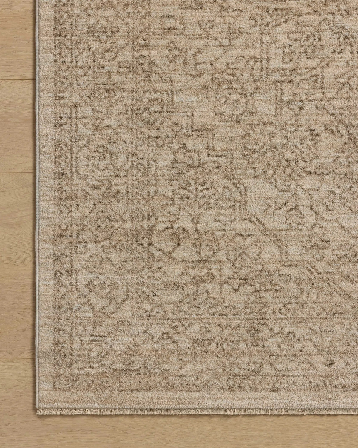 Newman NEW-01 Taupe / Bone Area Rug by Loloi